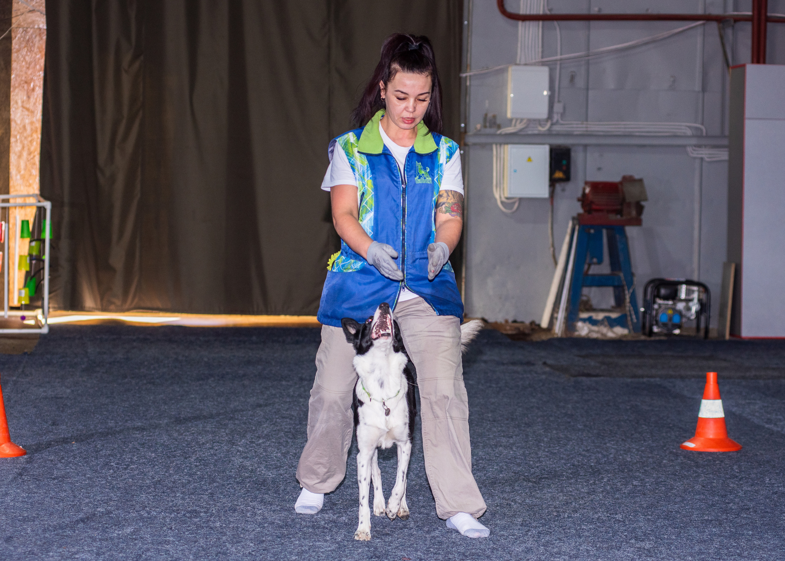 Танцы с собаками!. Дог-фотограф в Тюмени Александра Королева