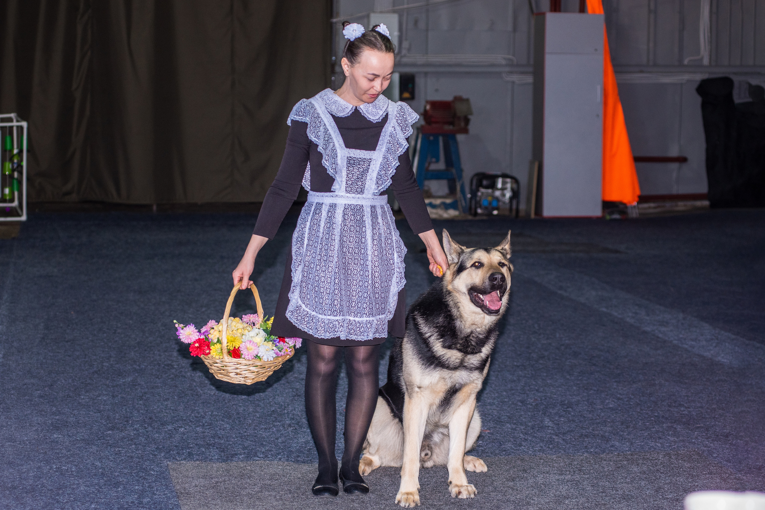 Танцы с собаками!. Дог-фотограф в Тюмени Александра Королева