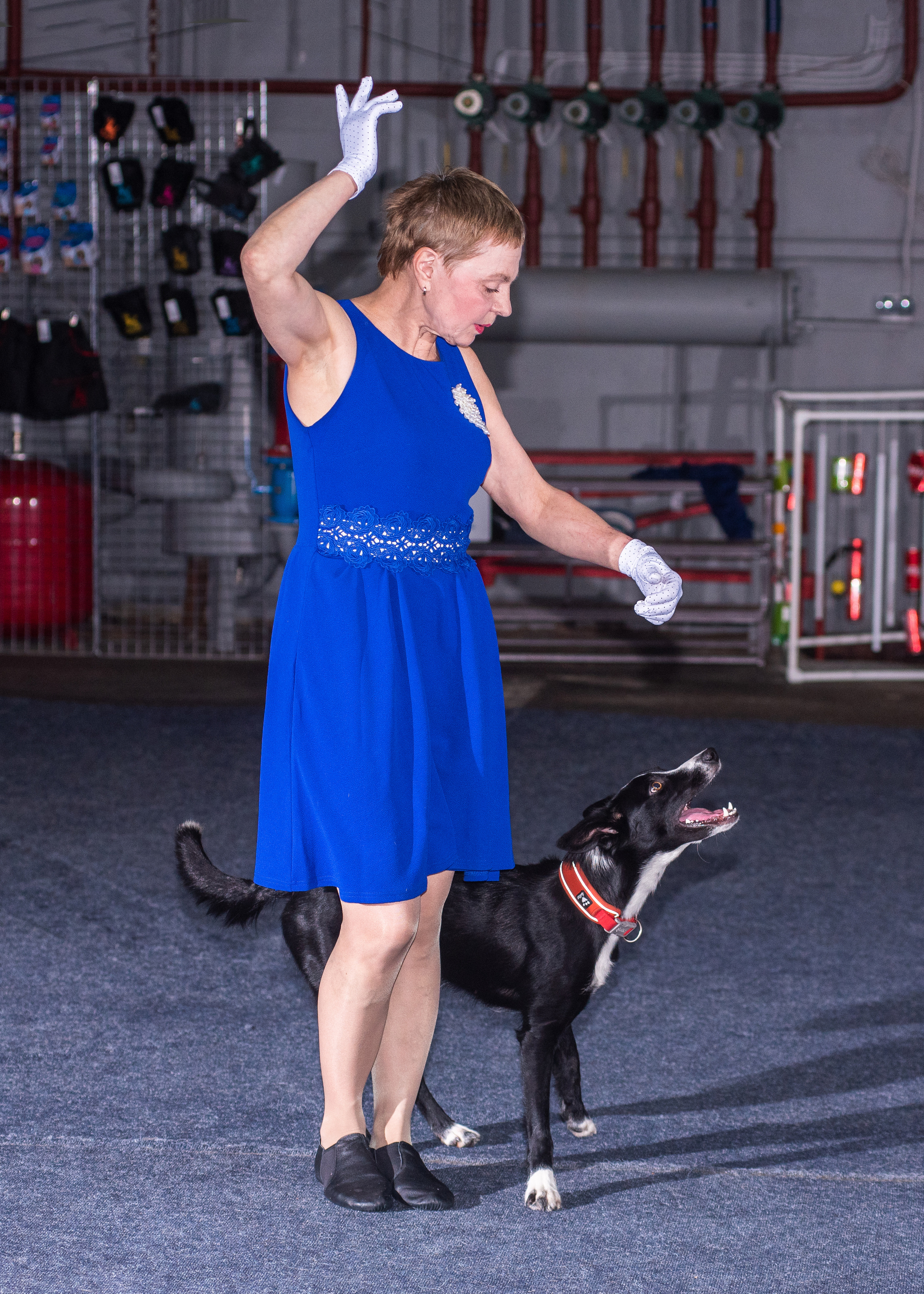 Танцы с собаками!. Дог-фотограф в Тюмени Александра Королева