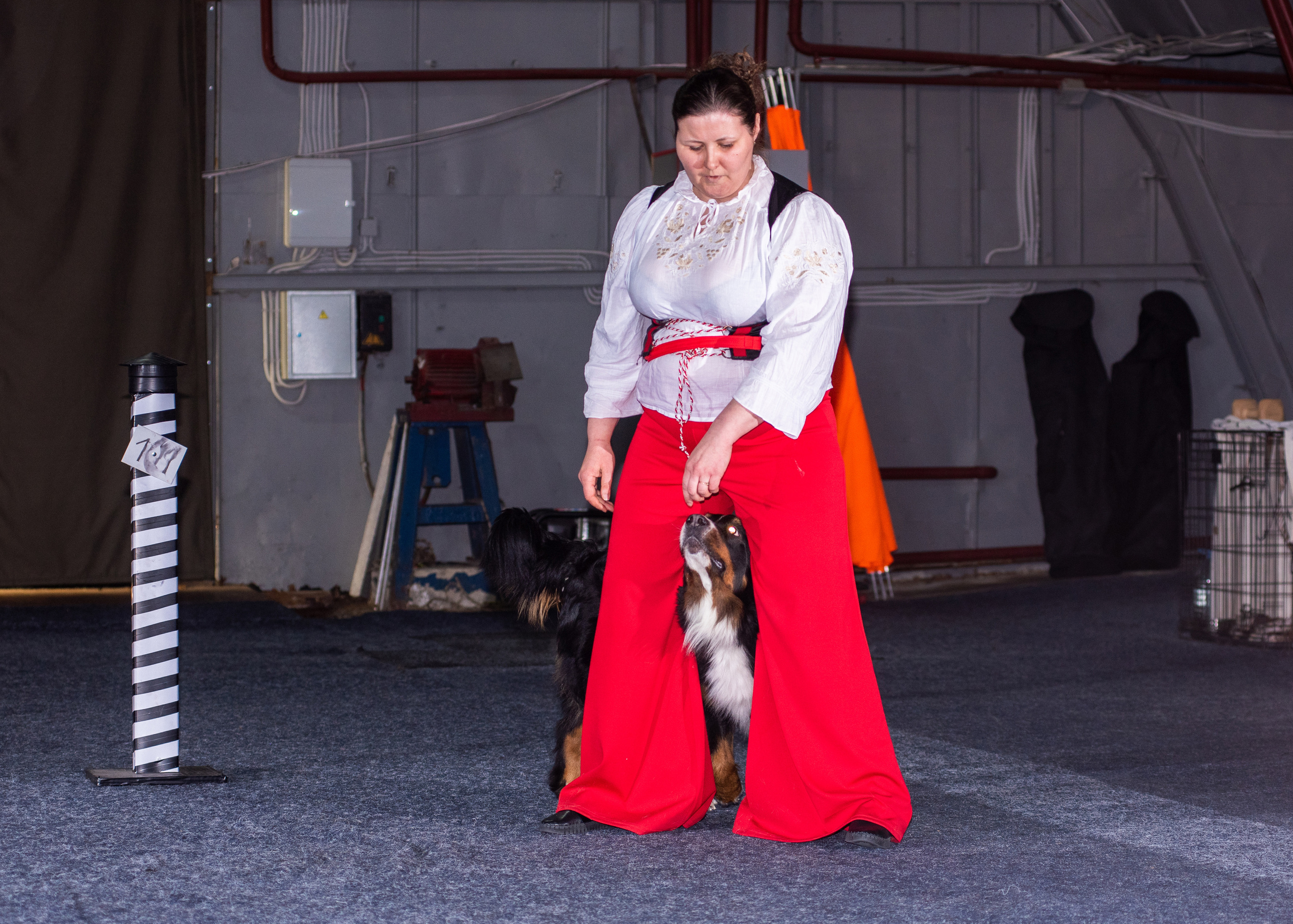 Танцы с собаками!. Дог-фотограф в Тюмени Александра Королева