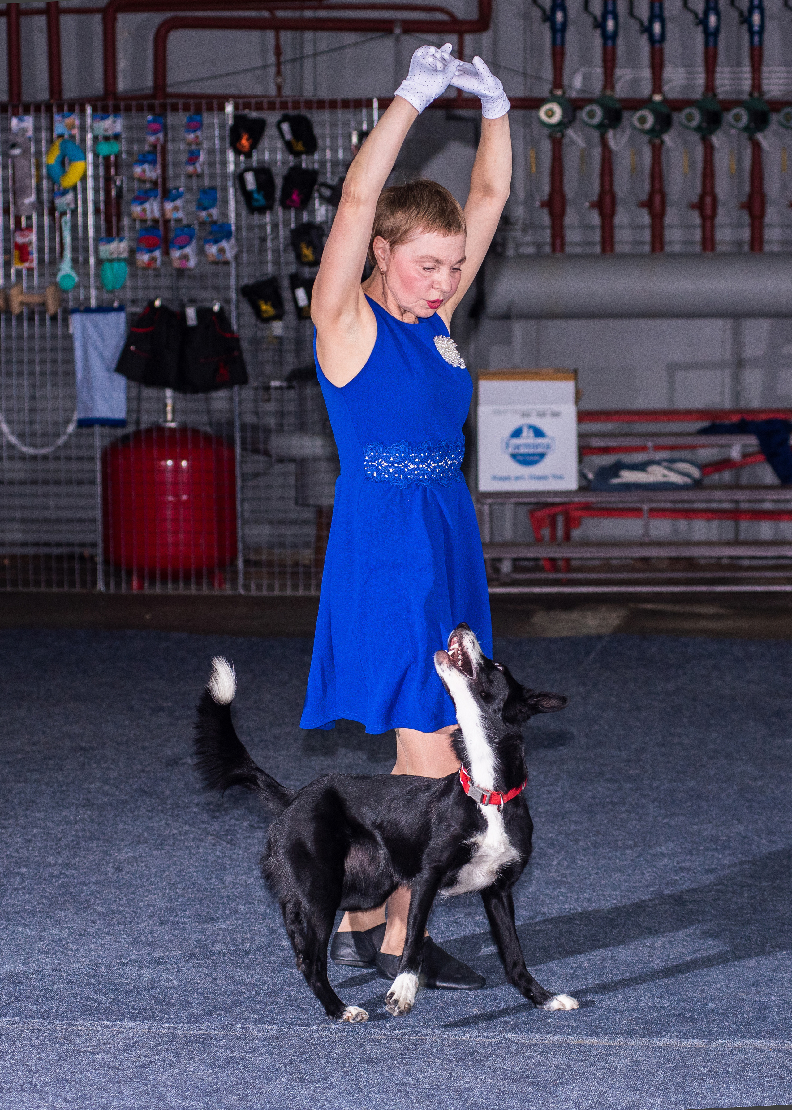 Танцы с собаками!. Дог-фотограф в Тюмени Александра Королева