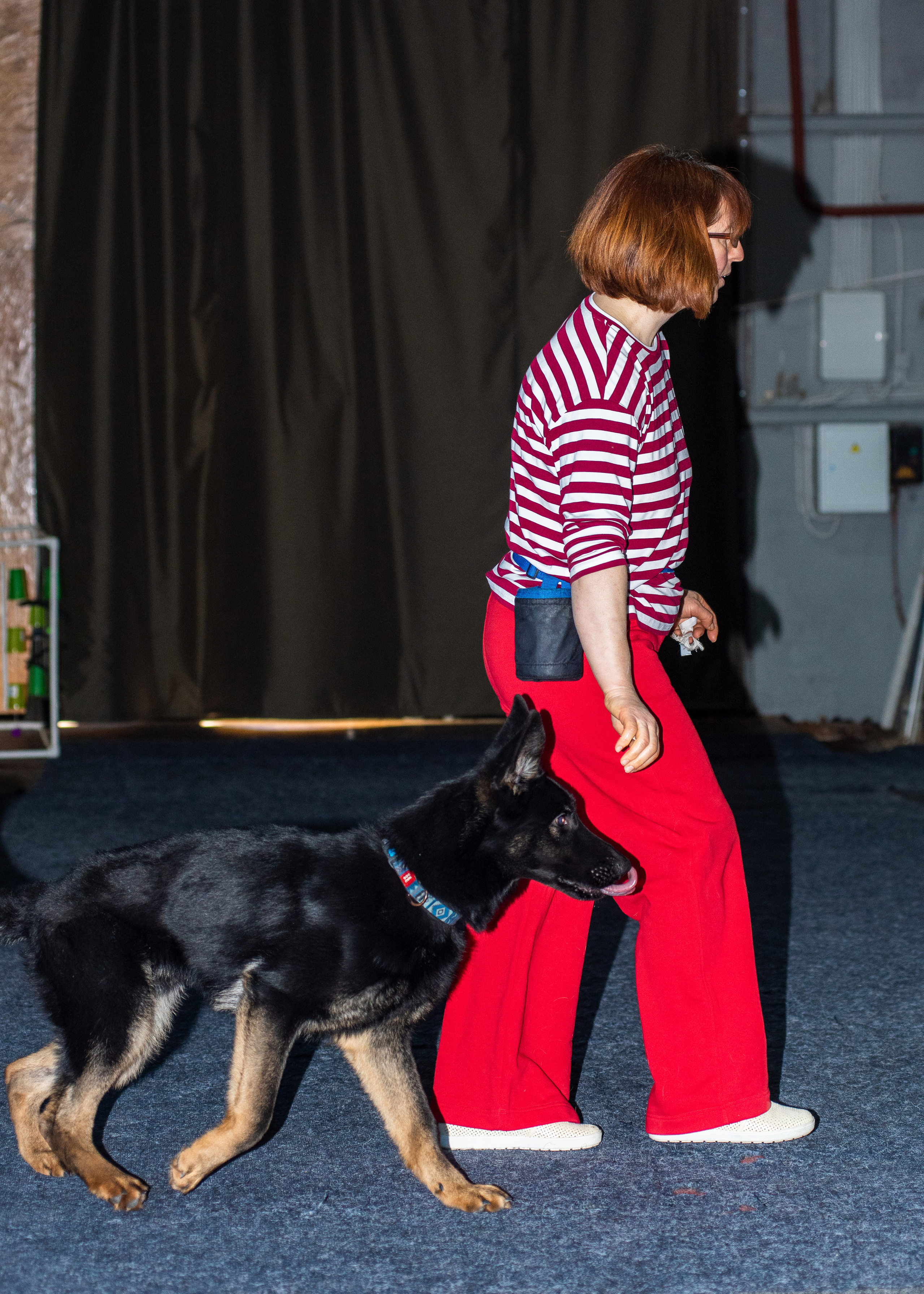 Танцы с собаками!. Дог-фотограф в Тюмени Александра Королева