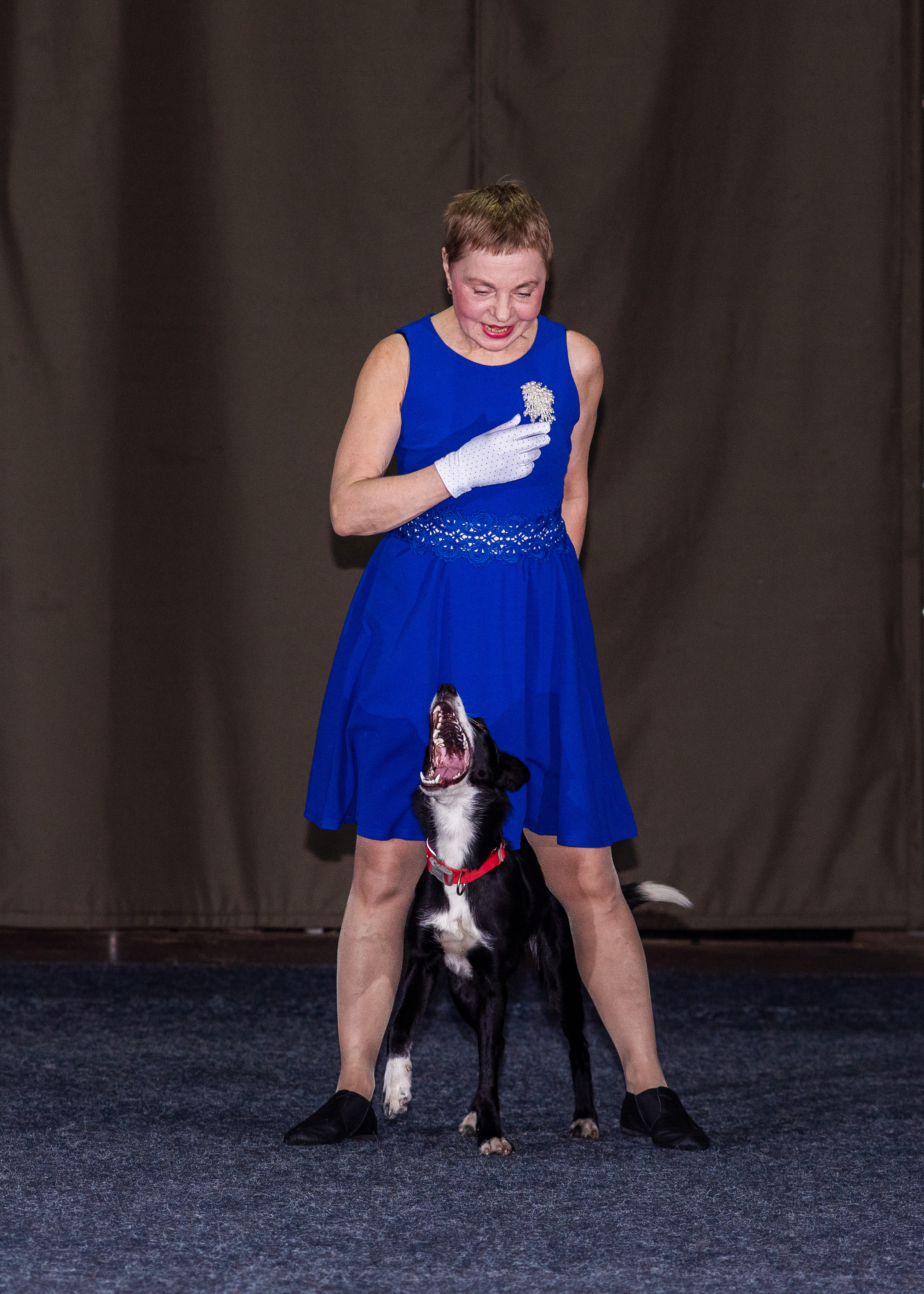 Танцы с собаками!. Дог-фотограф в Тюмени Александра Королева