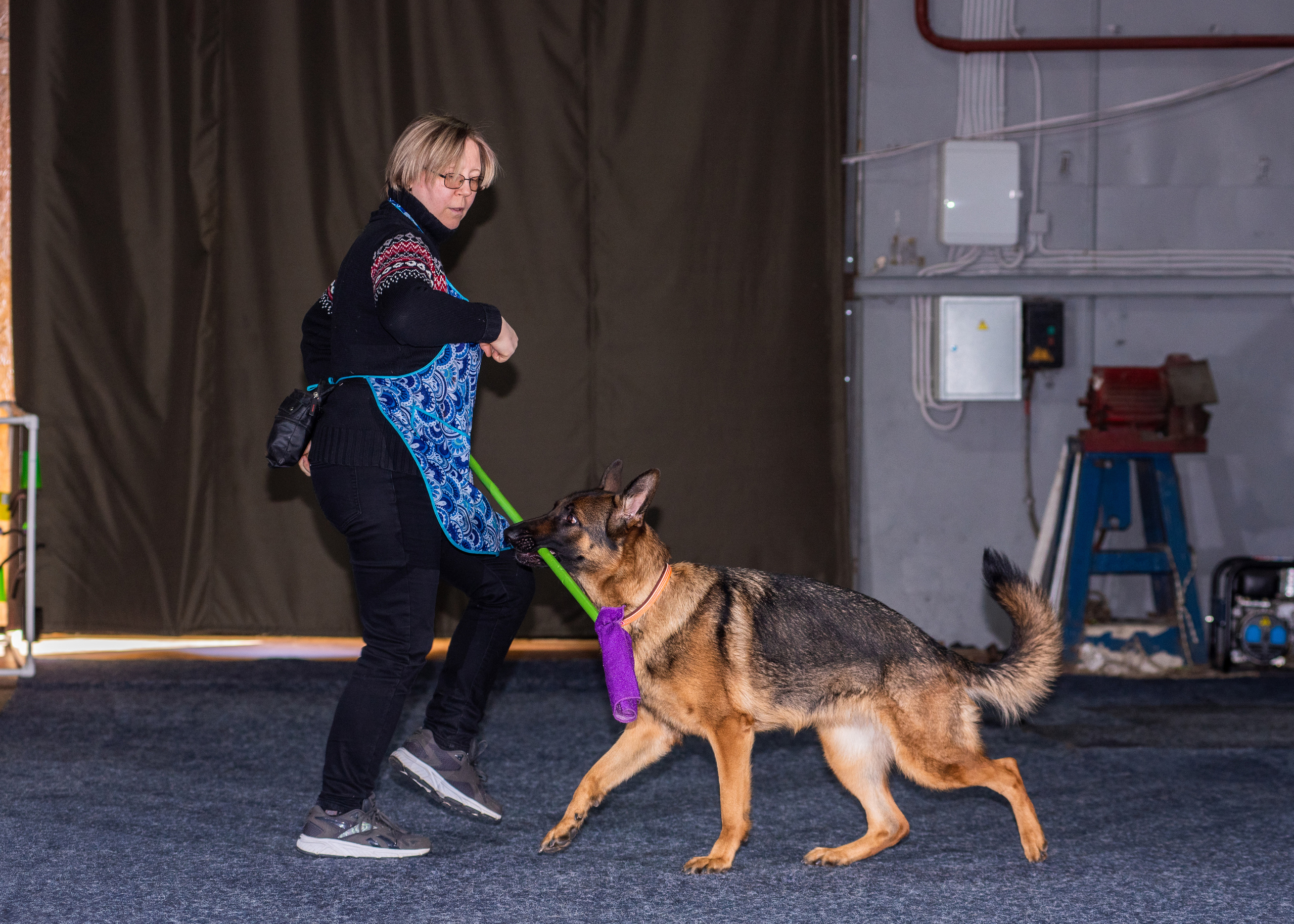 Танцы с собаками!. Дог-фотограф в Тюмени Александра Королева