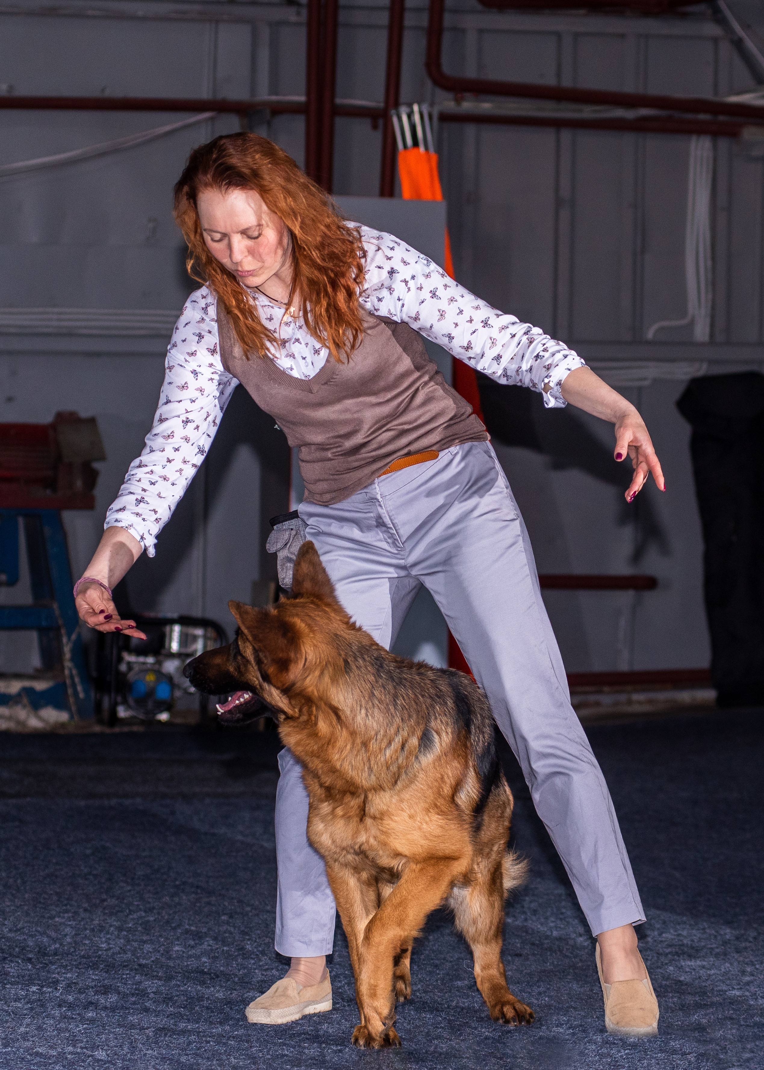 Танцы с собаками!. Дог-фотограф в Тюмени Александра Королева