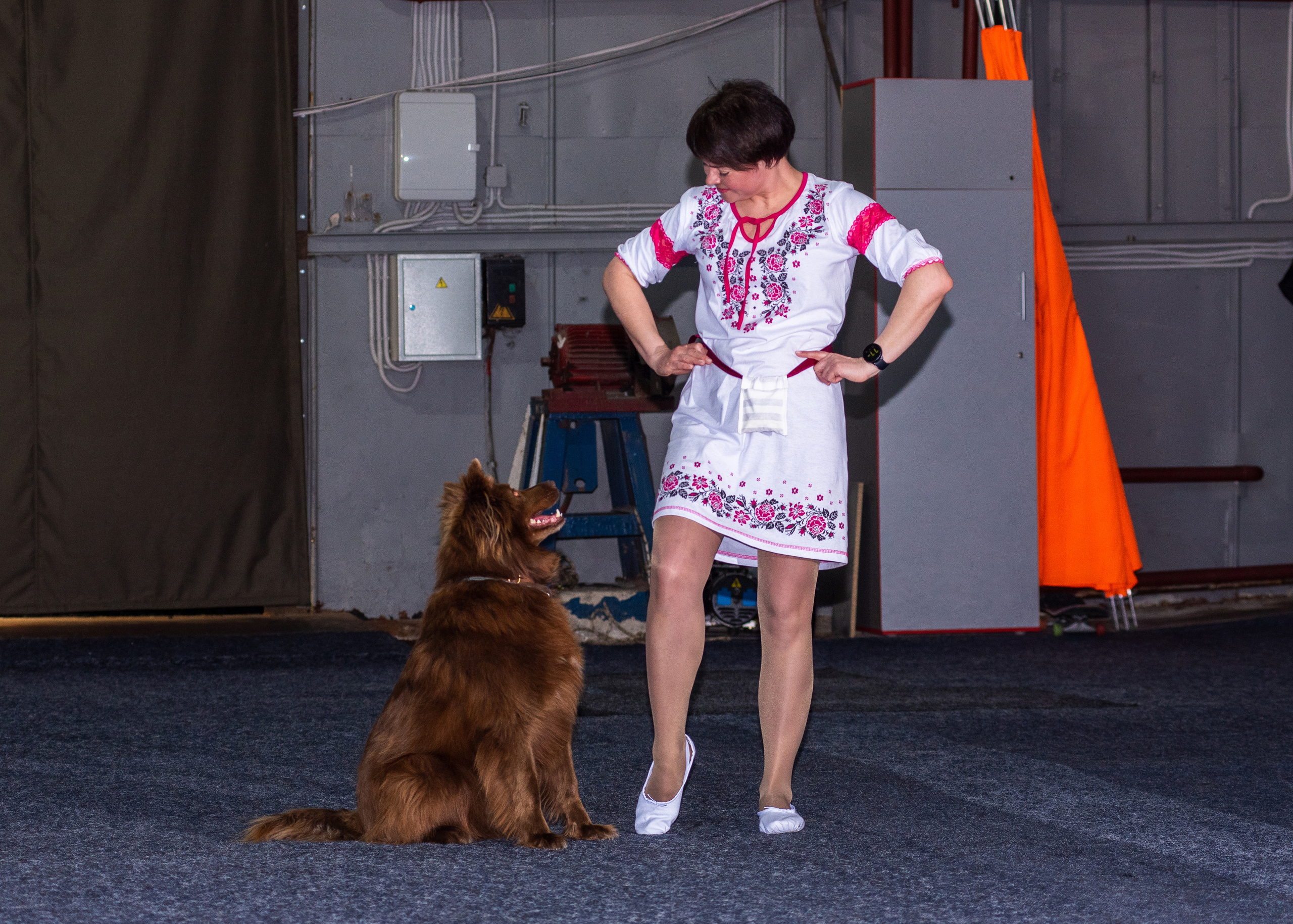 Танцы с собаками!. Дог-фотограф в Тюмени Александра Королева