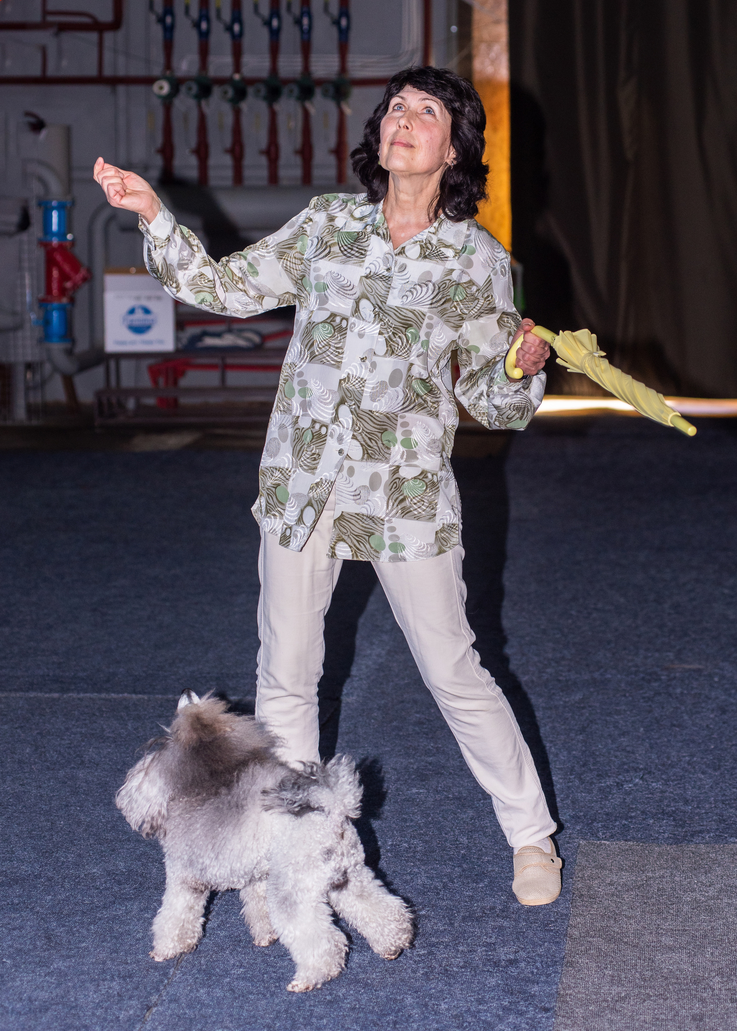 Танцы с собаками!. Дог-фотограф в Тюмени Александра Королева