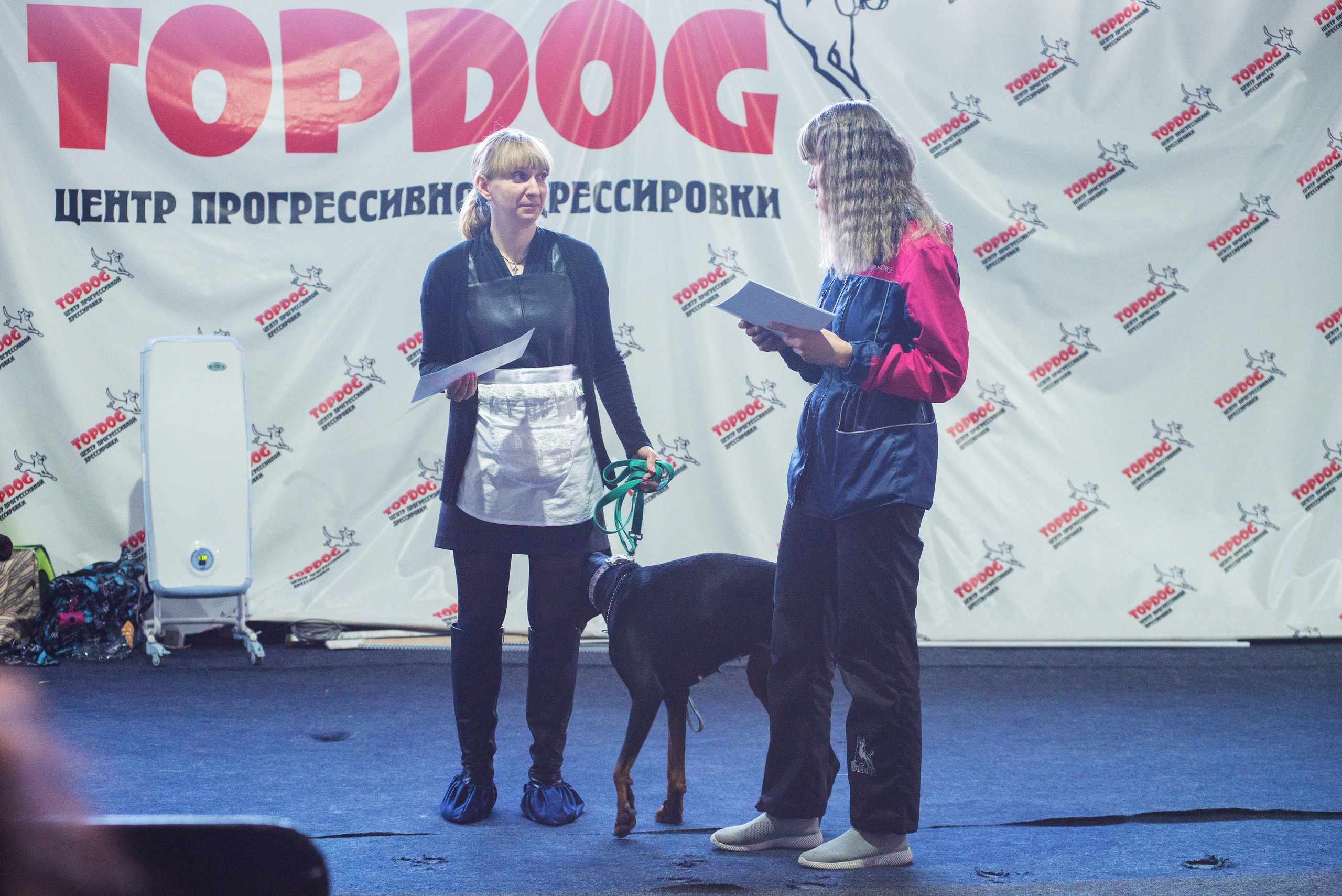 Танцы с собаками!. Дог-фотограф в Тюмени Александра Королева