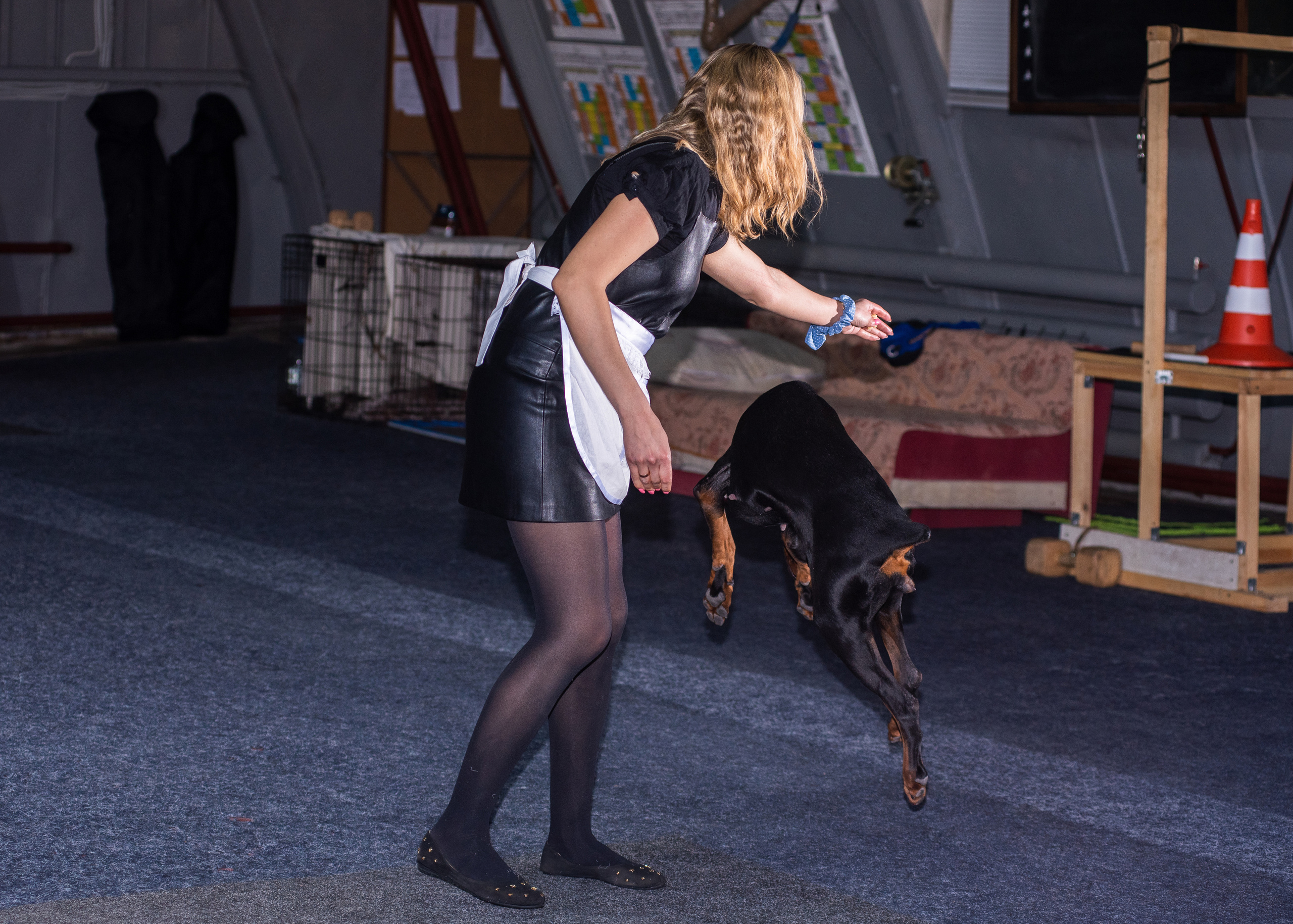 Танцы с собаками!. Дог-фотограф в Тюмени Александра Королева