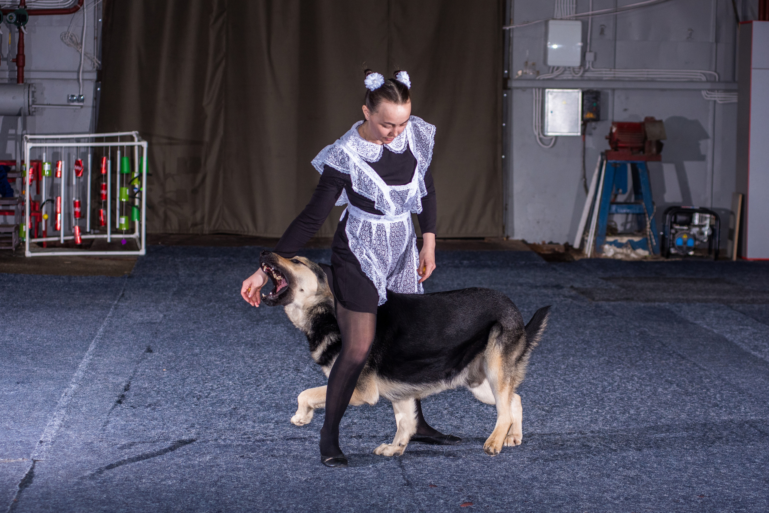 Танцы с собаками!. Дог-фотограф в Тюмени Александра Королева