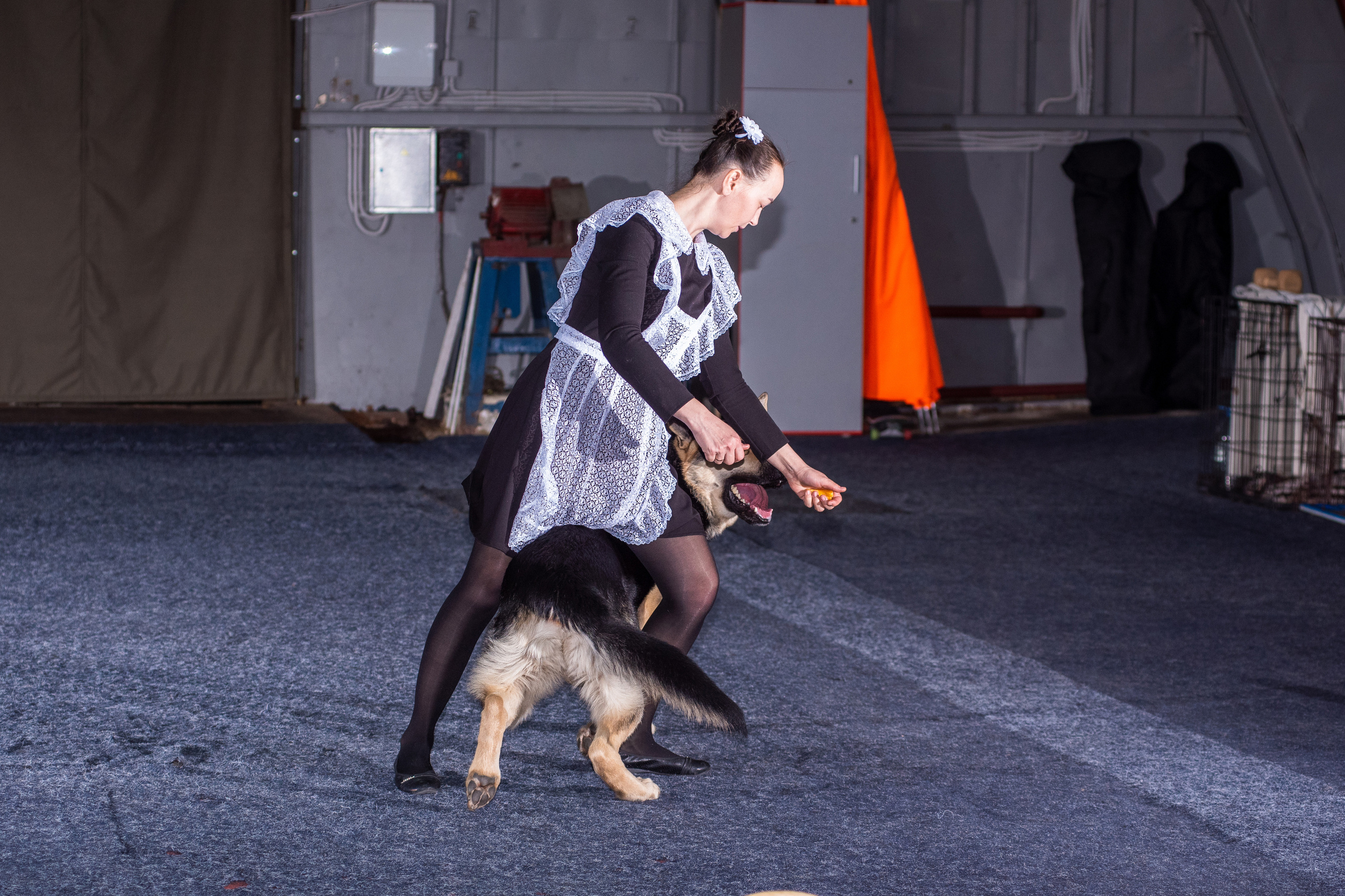 Танцы с собаками!. Дог-фотограф в Тюмени Александра Королева