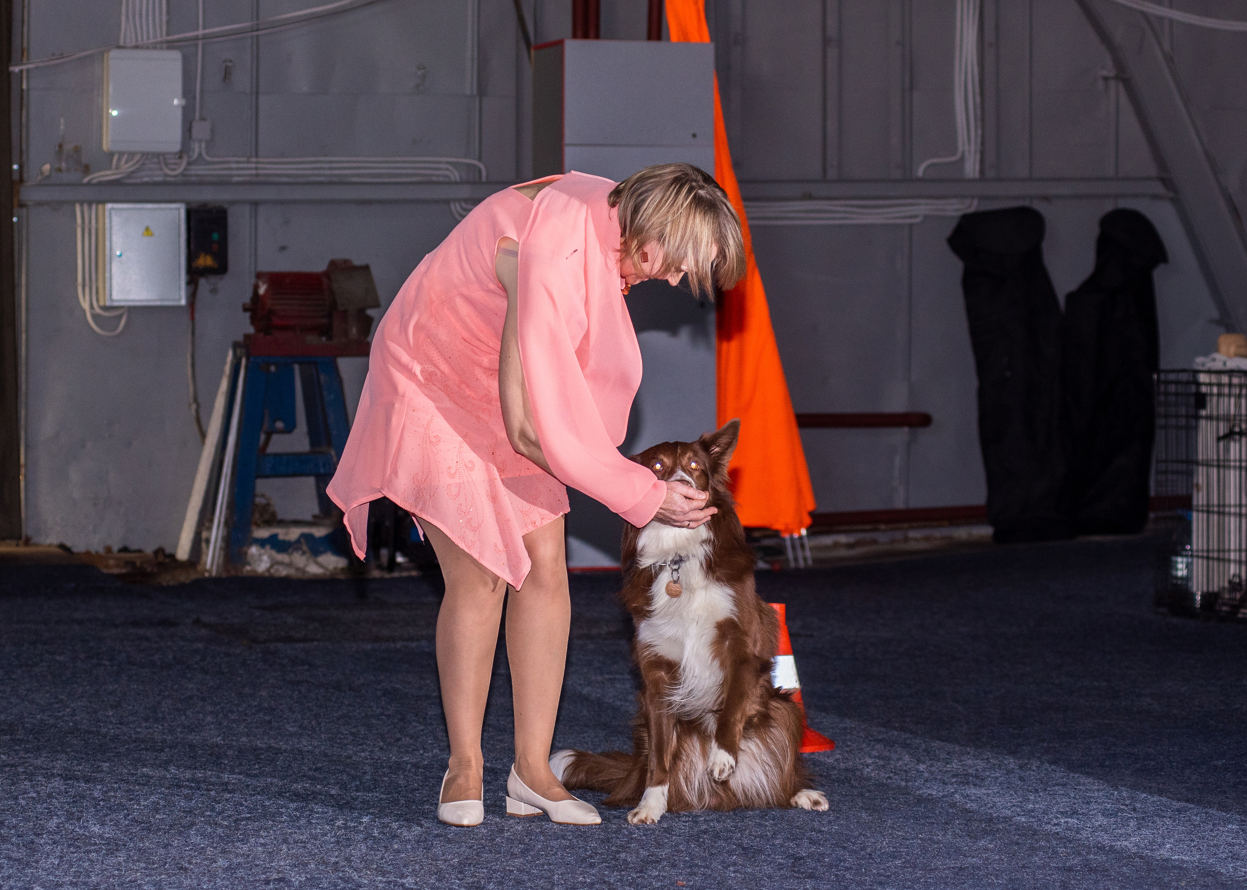 Танцы с собаками!. Дог-фотограф в Тюмени Александра Королева