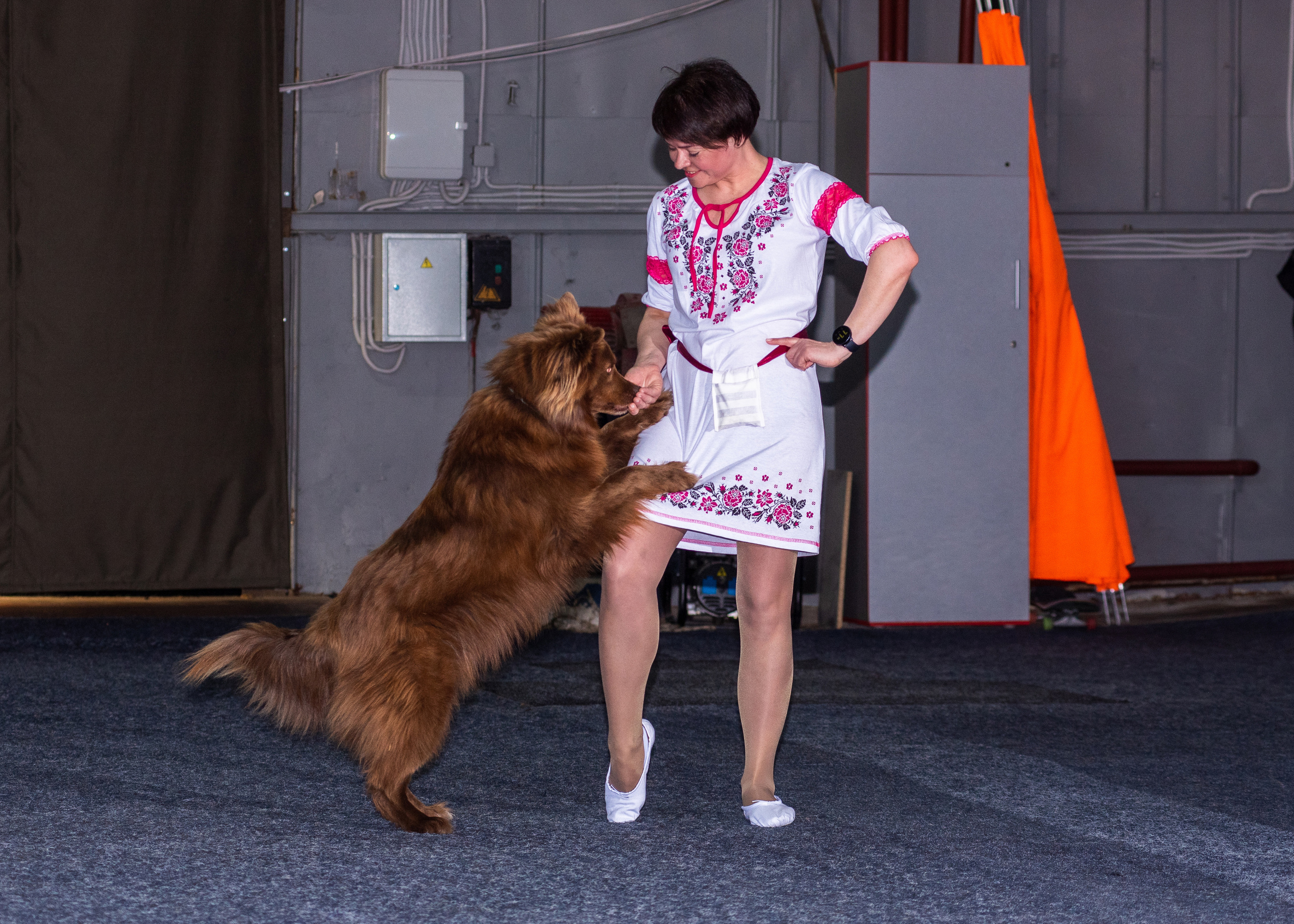 Танцы с собаками!. Дог-фотограф в Тюмени Александра Королева