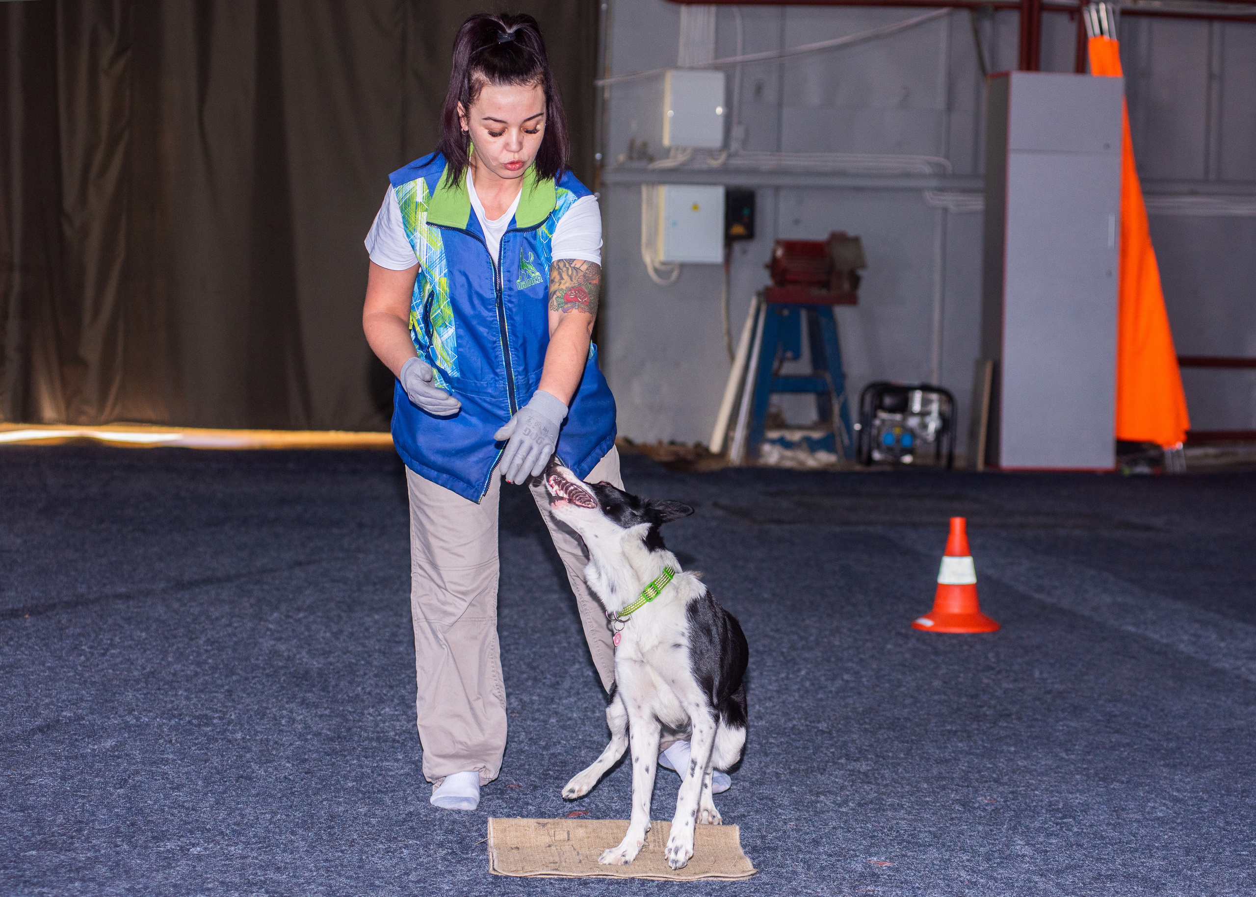 Танцы с собаками!. Дог-фотограф в Тюмени Александра Королева