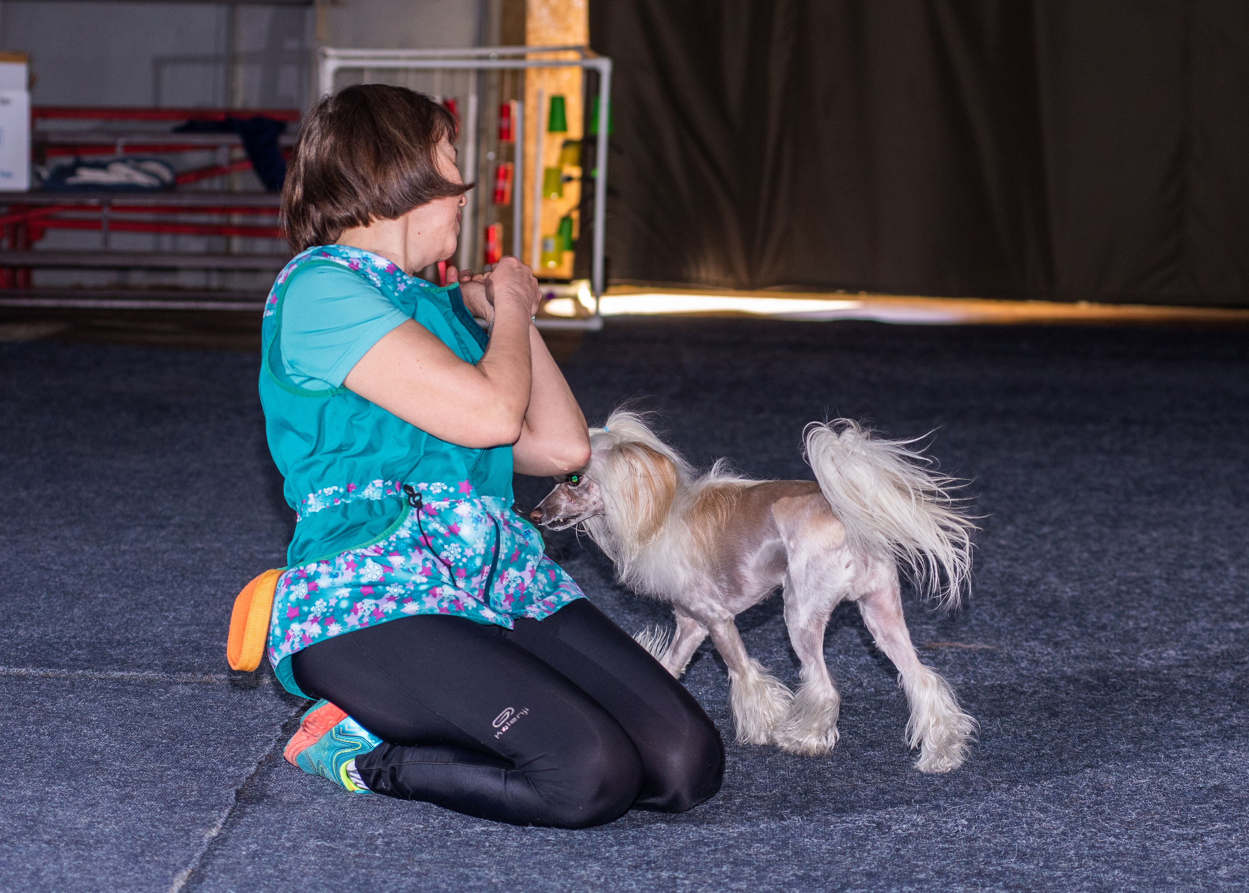 Танцы с собаками!. Дог-фотограф в Тюмени Александра Королева