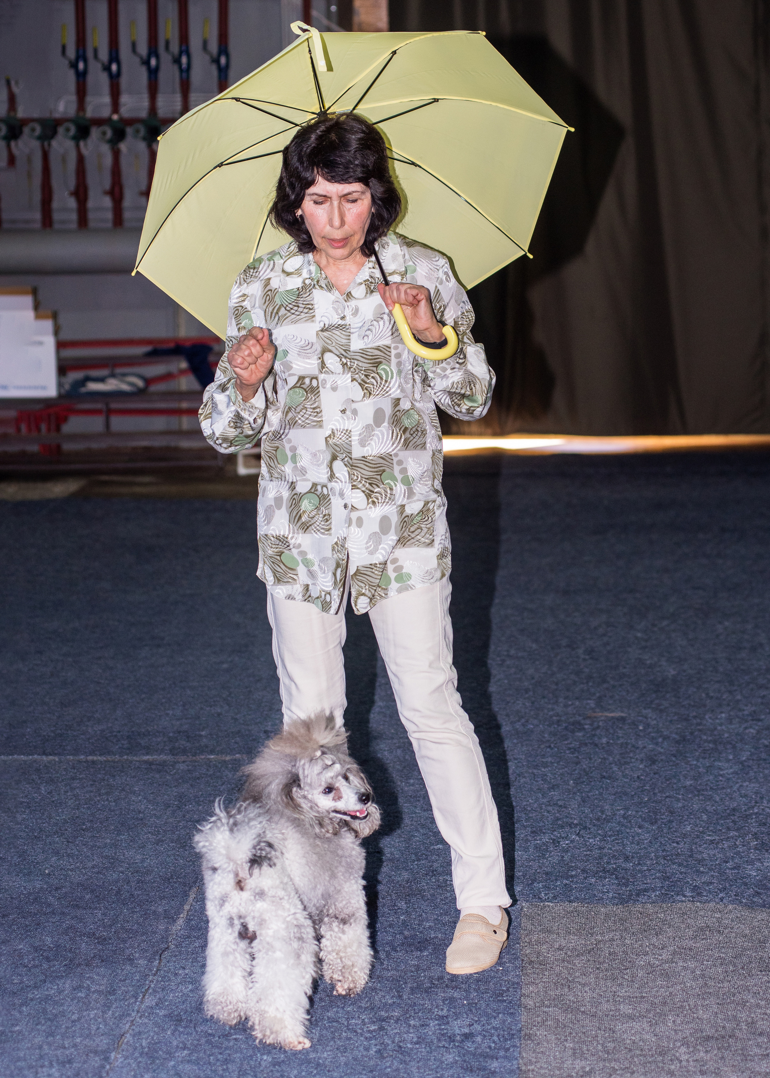 Танцы с собаками!. Дог-фотограф в Тюмени Александра Королева