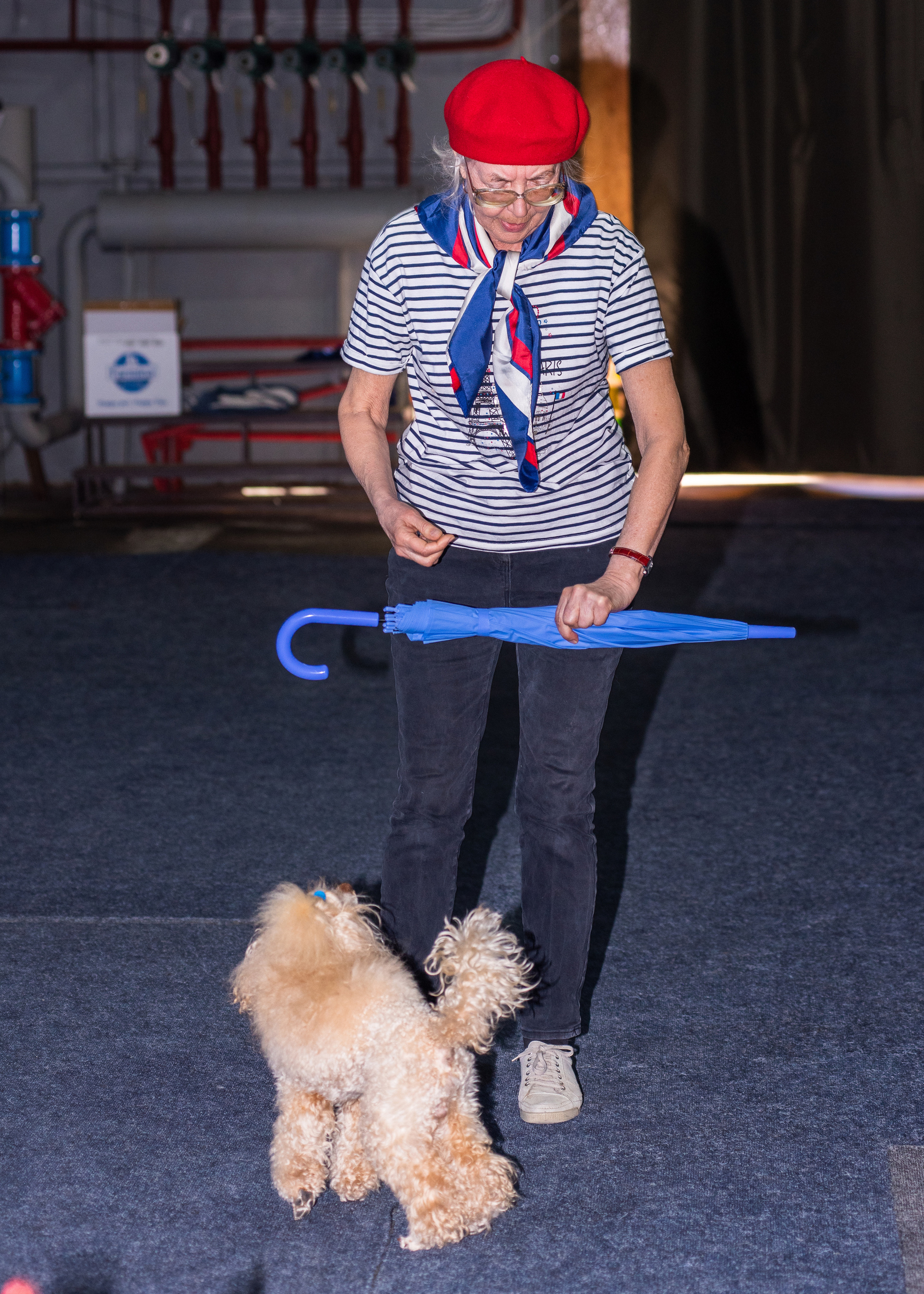Танцы с собаками!. Дог-фотограф в Тюмени Александра Королева