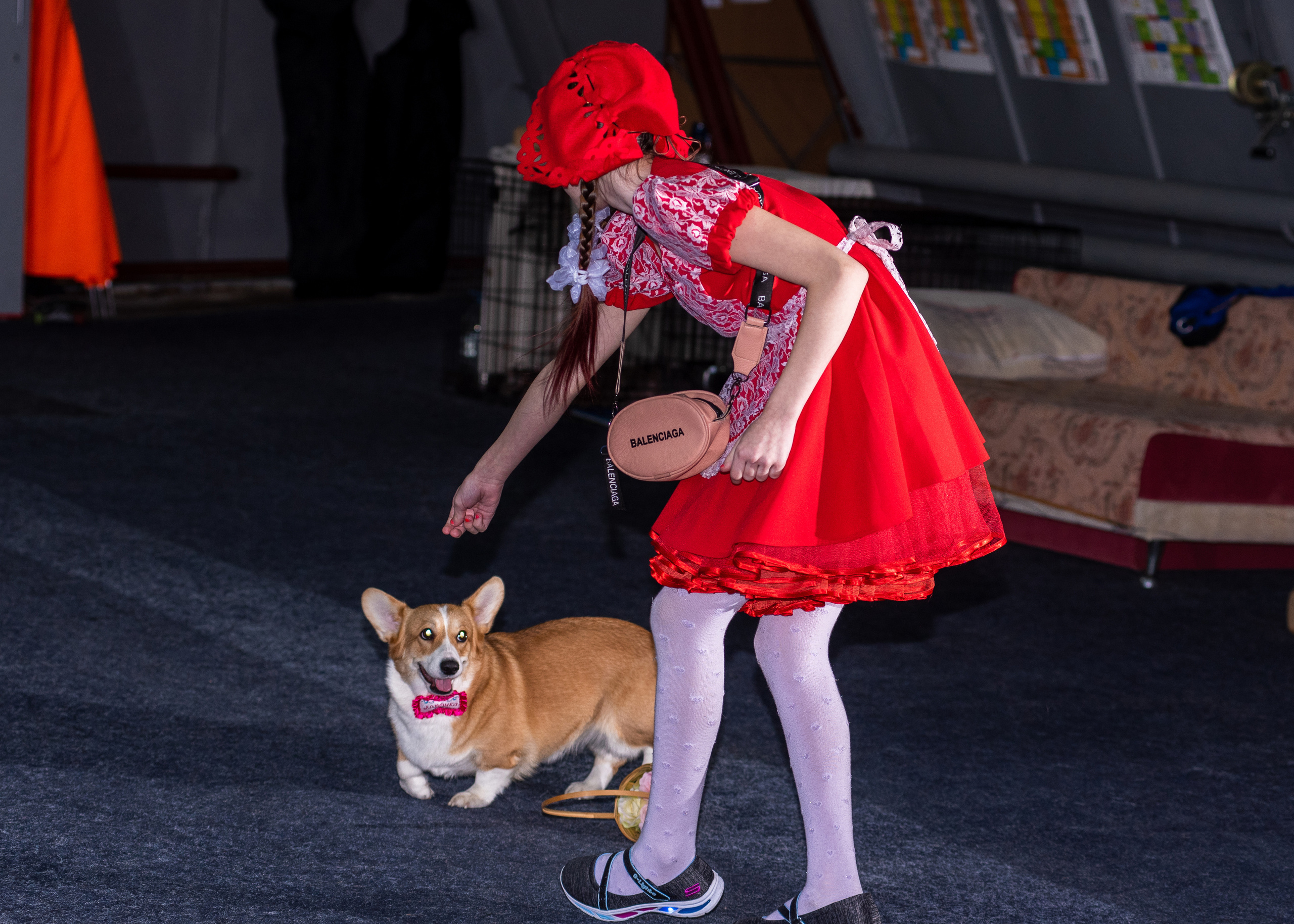 Танцы с собаками!. Дог-фотограф в Тюмени Александра Королева