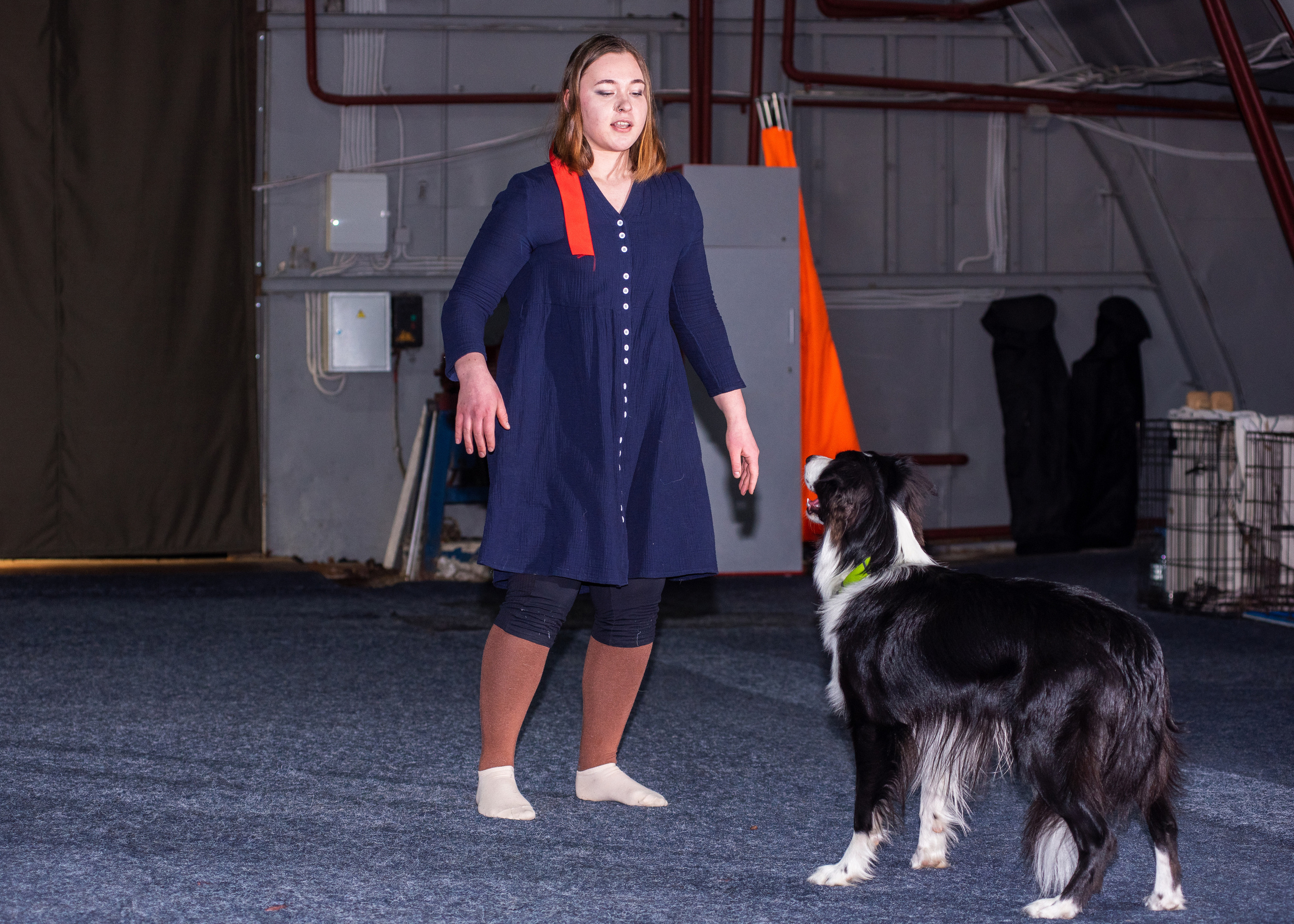 Танцы с собаками!. Дог-фотограф в Тюмени Александра Королева