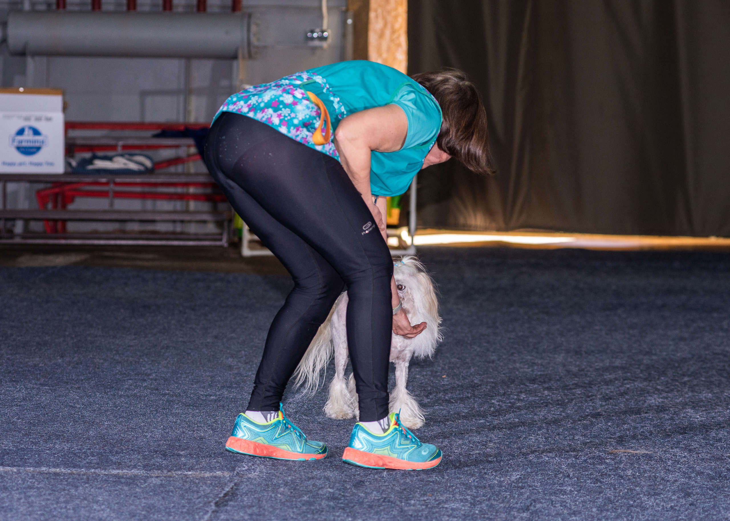 Танцы с собаками!. Дог-фотограф в Тюмени Александра Королева