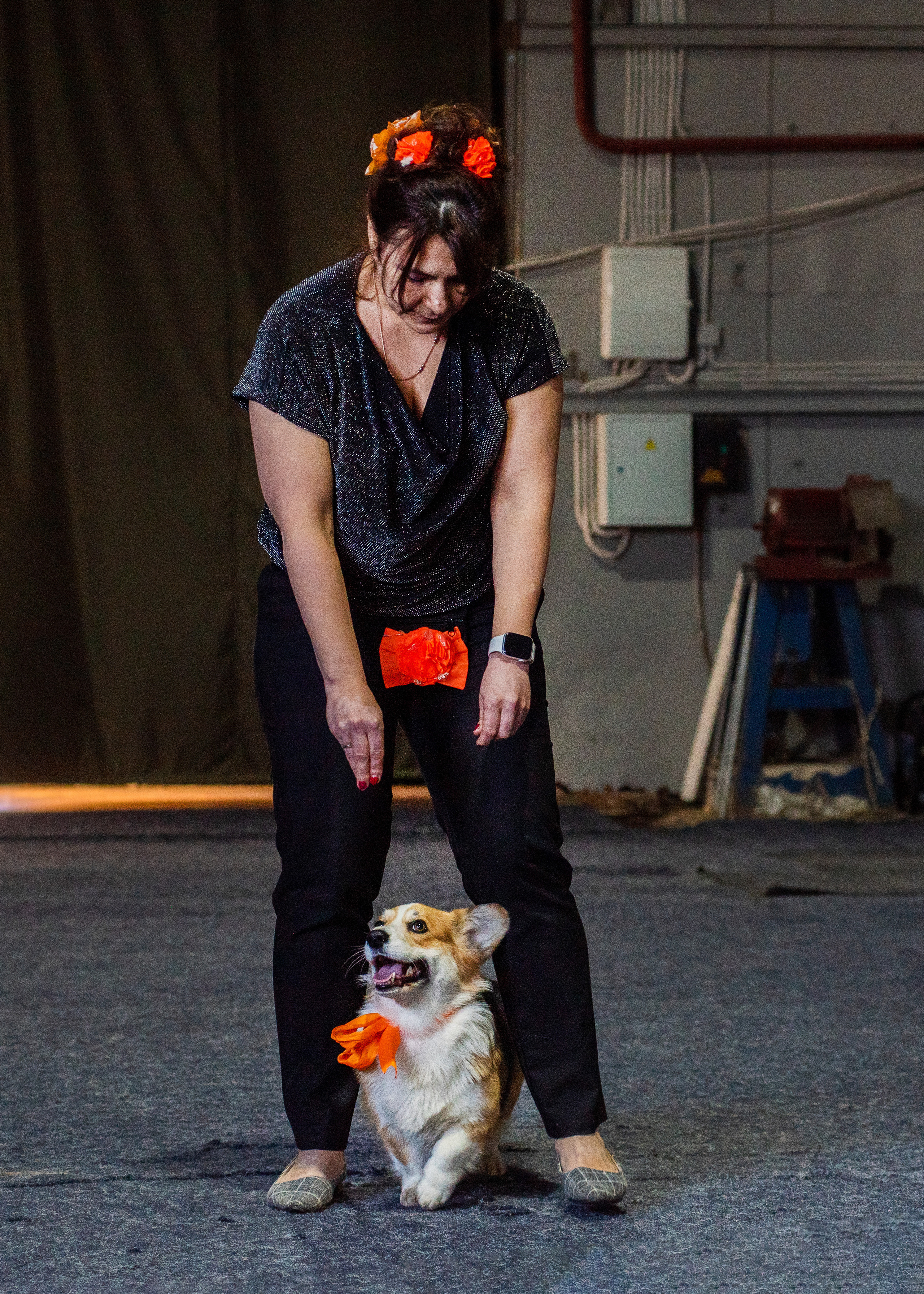 Танцы с собаками!. Дог-фотограф в Тюмени Александра Королева