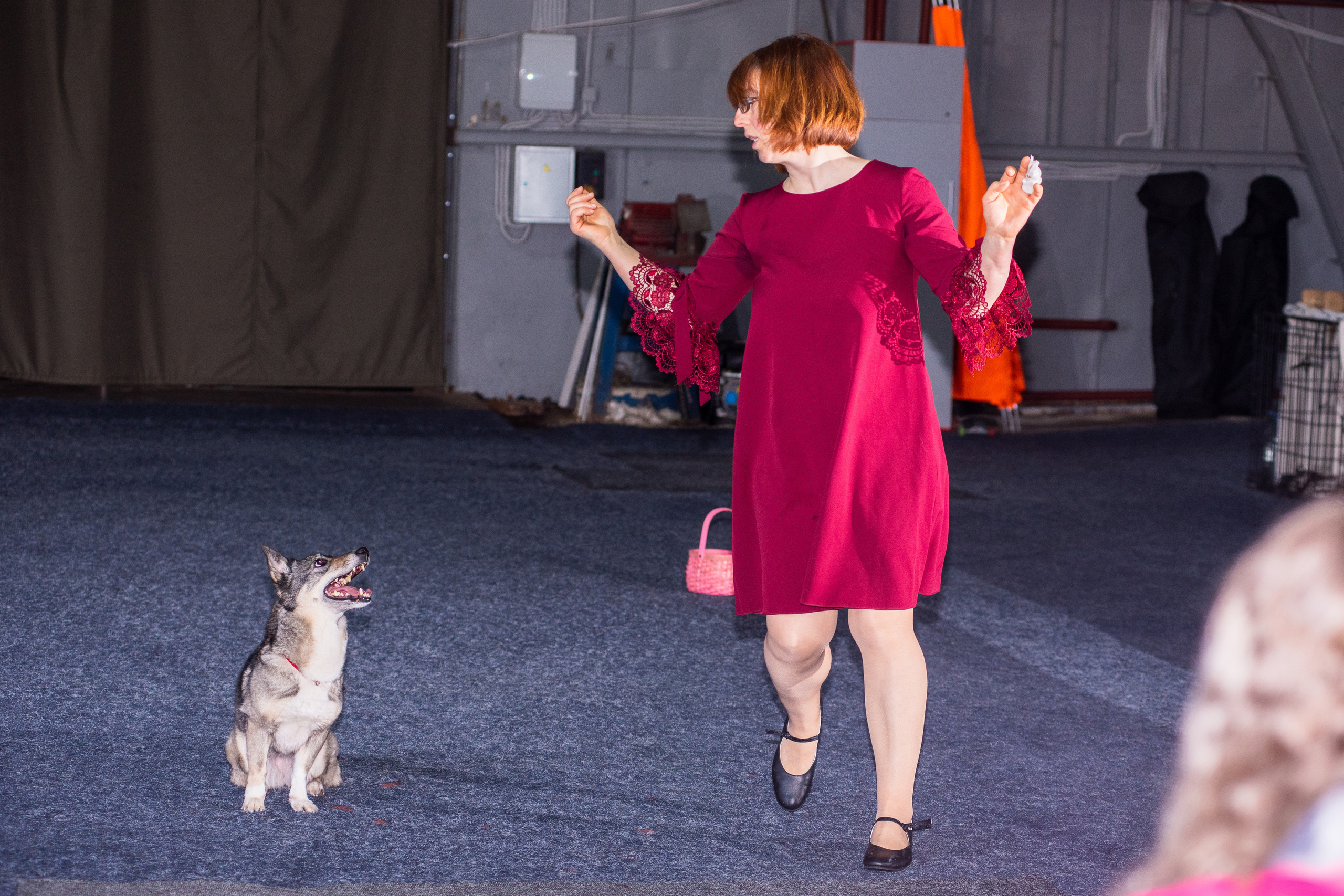 Танцы с собаками!. Дог-фотограф в Тюмени Александра Королева