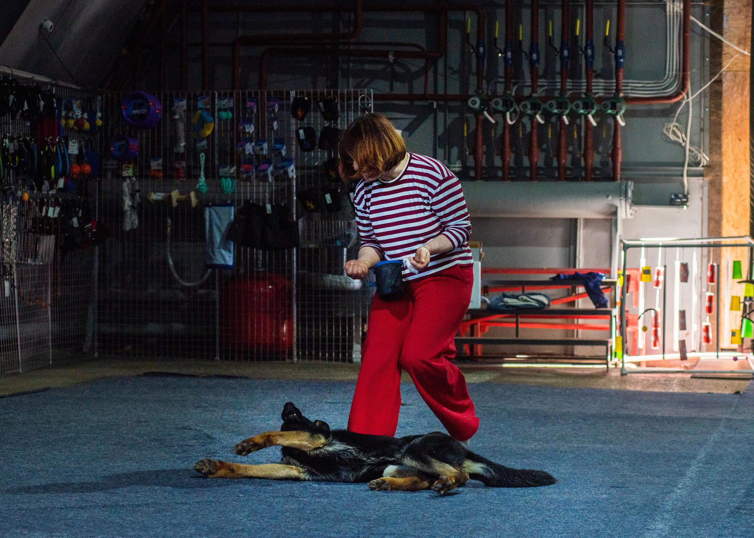 Танцы с собаками!. Дог-фотограф в Тюмени Александра Королева