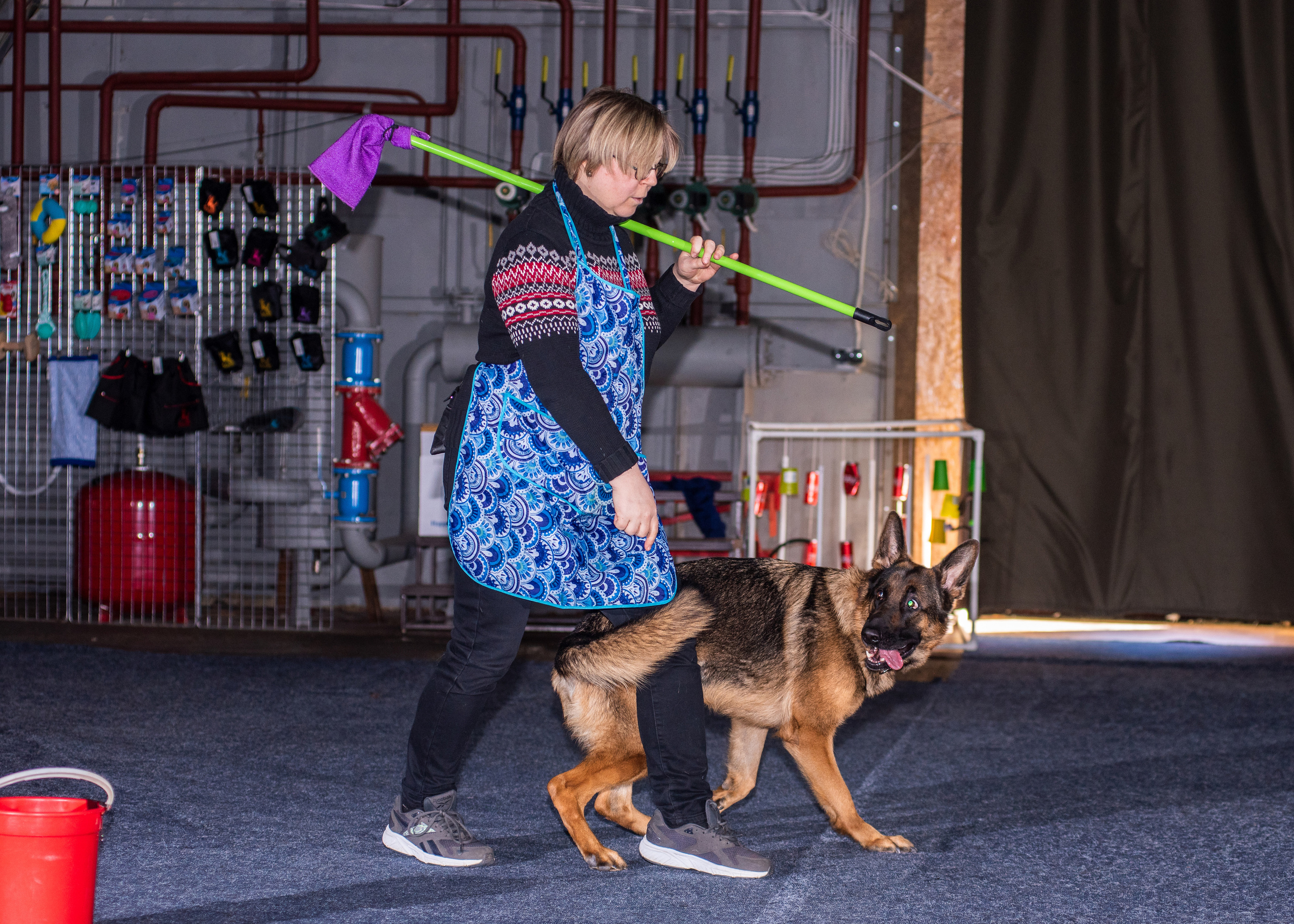 Танцы с собаками!. Дог-фотограф в Тюмени Александра Королева