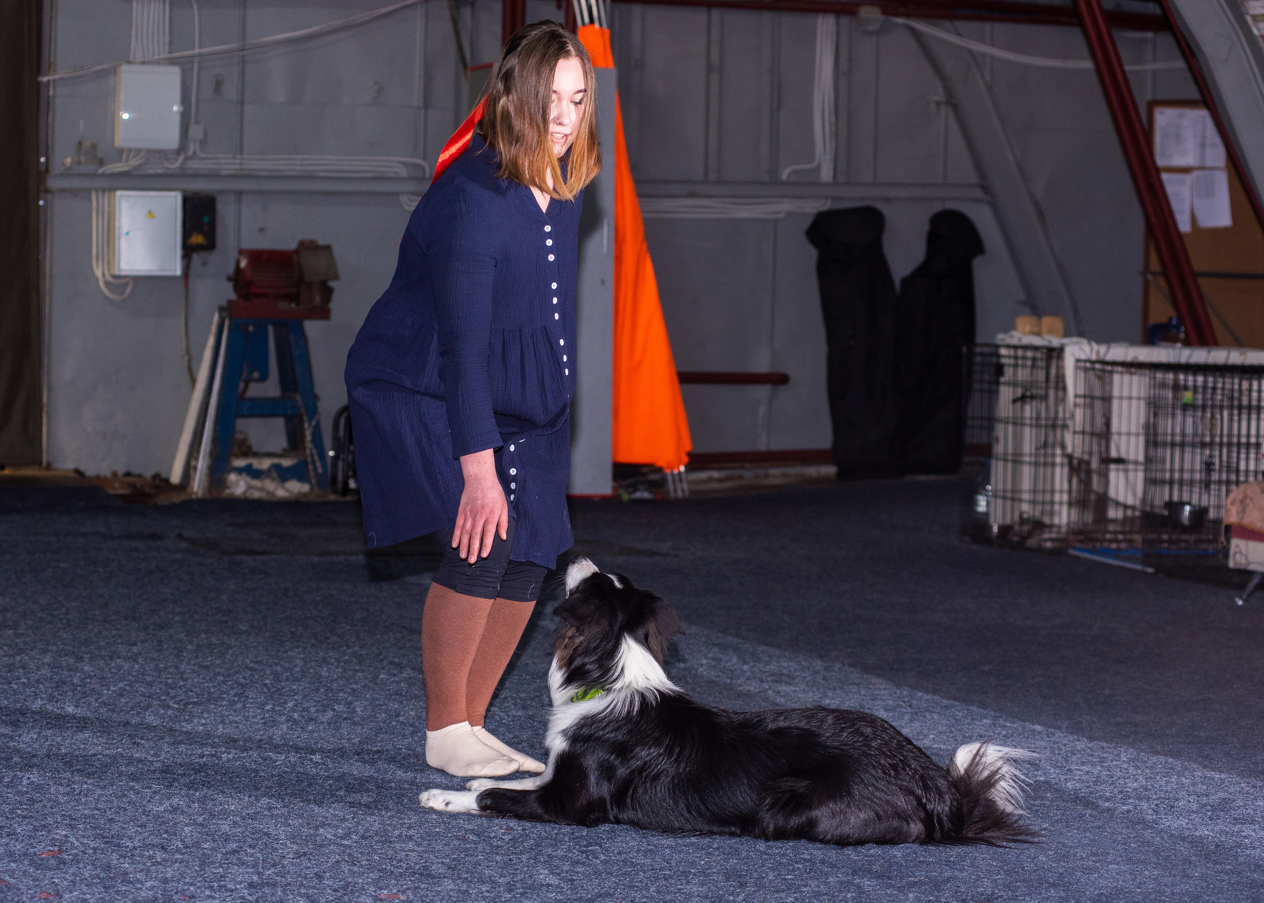 Танцы с собаками!. Дог-фотограф в Тюмени Александра Королева