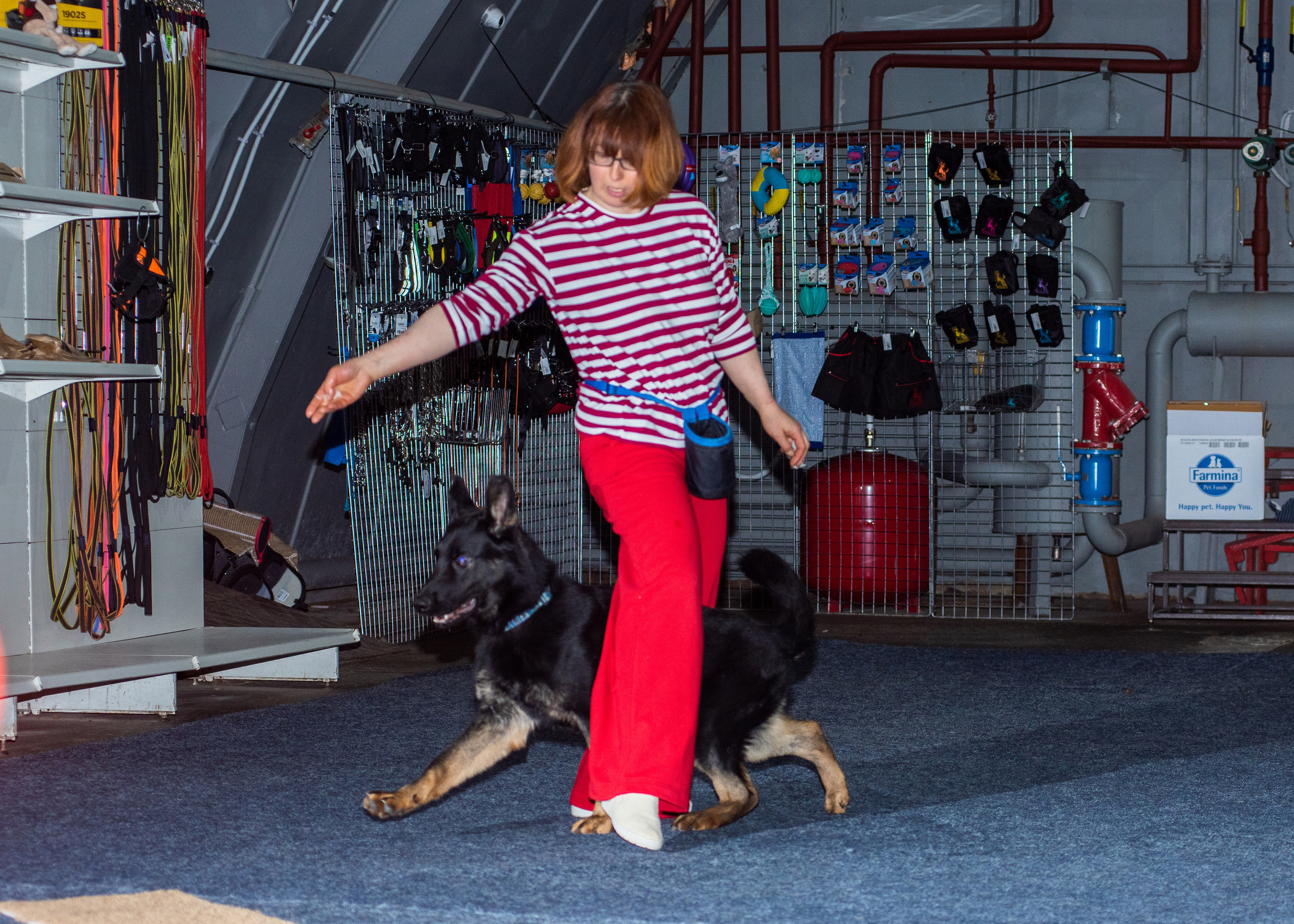 Танцы с собаками!. Дог-фотограф в Тюмени Александра Королева