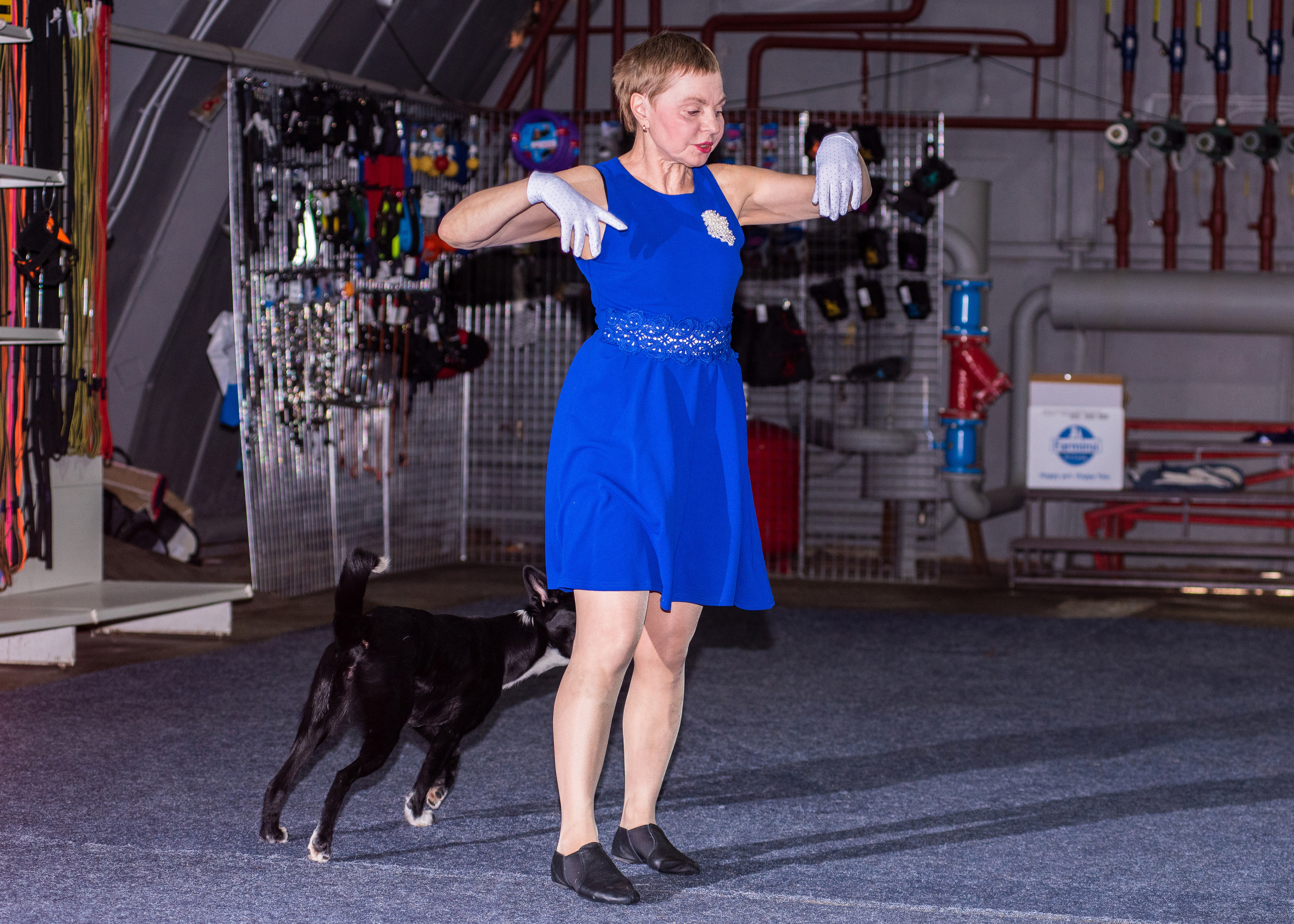 Танцы с собаками!. Дог-фотограф в Тюмени Александра Королева