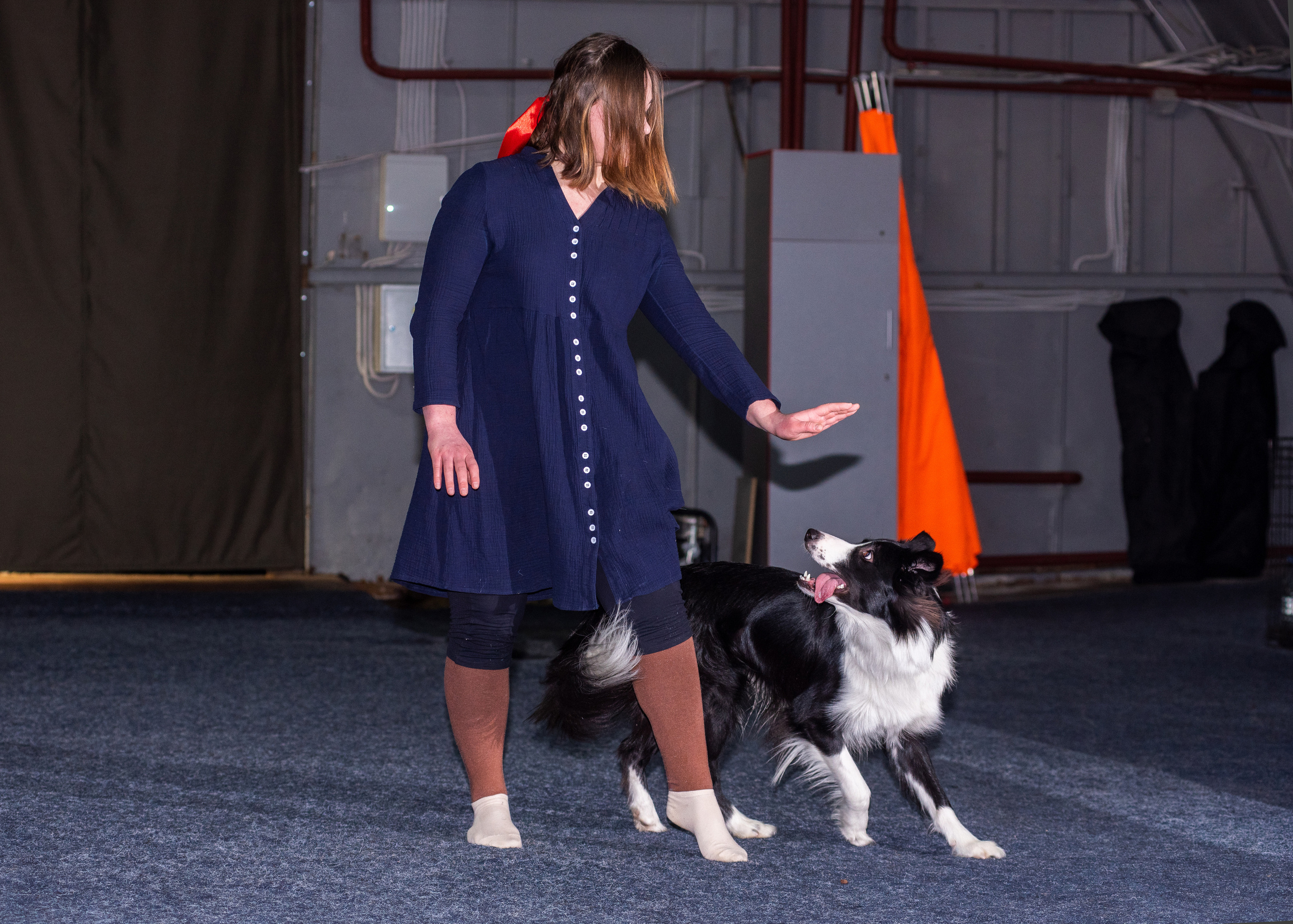 Танцы с собаками!. Дог-фотограф в Тюмени Александра Королева