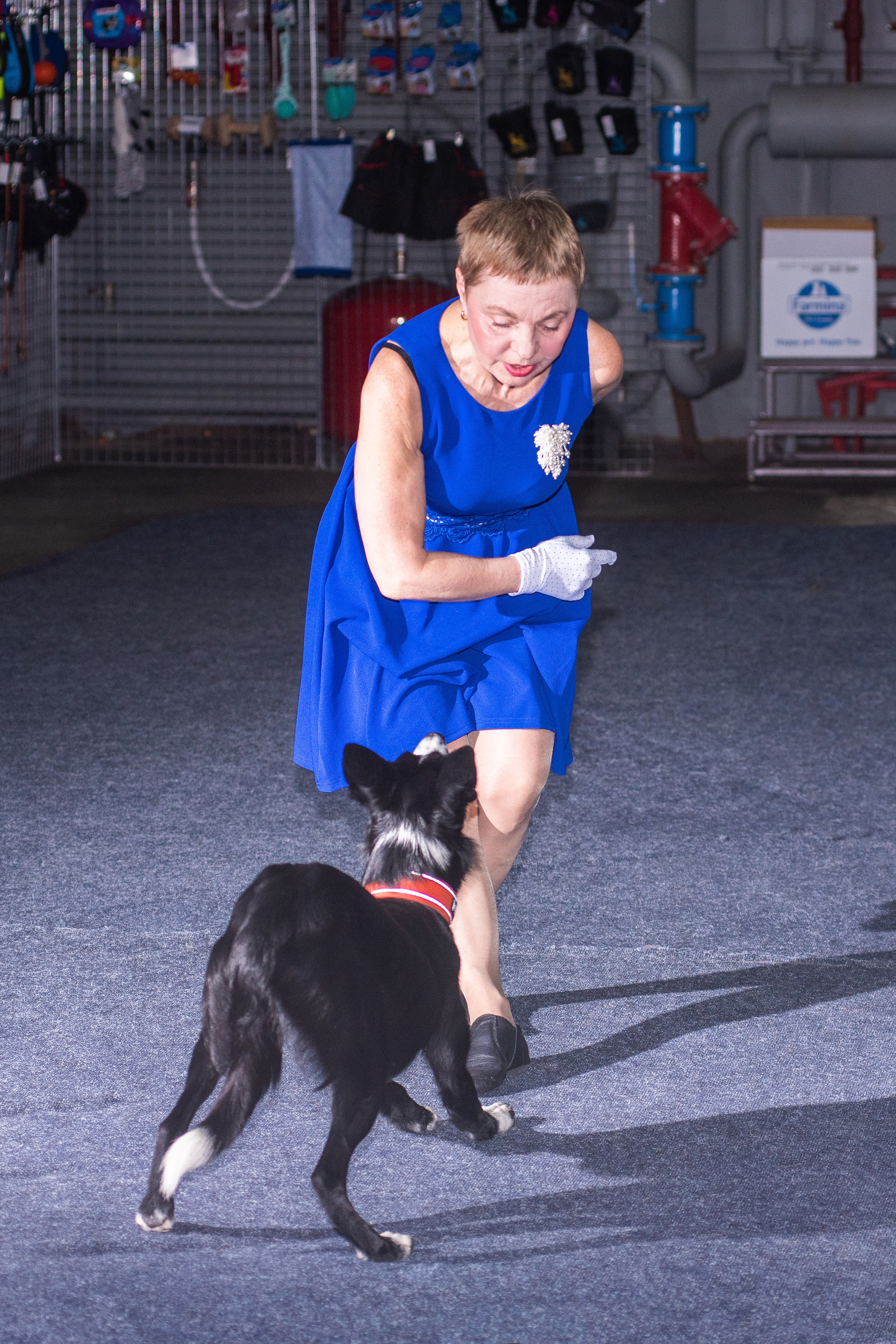 Танцы с собаками!. Дог-фотограф в Тюмени Александра Королева