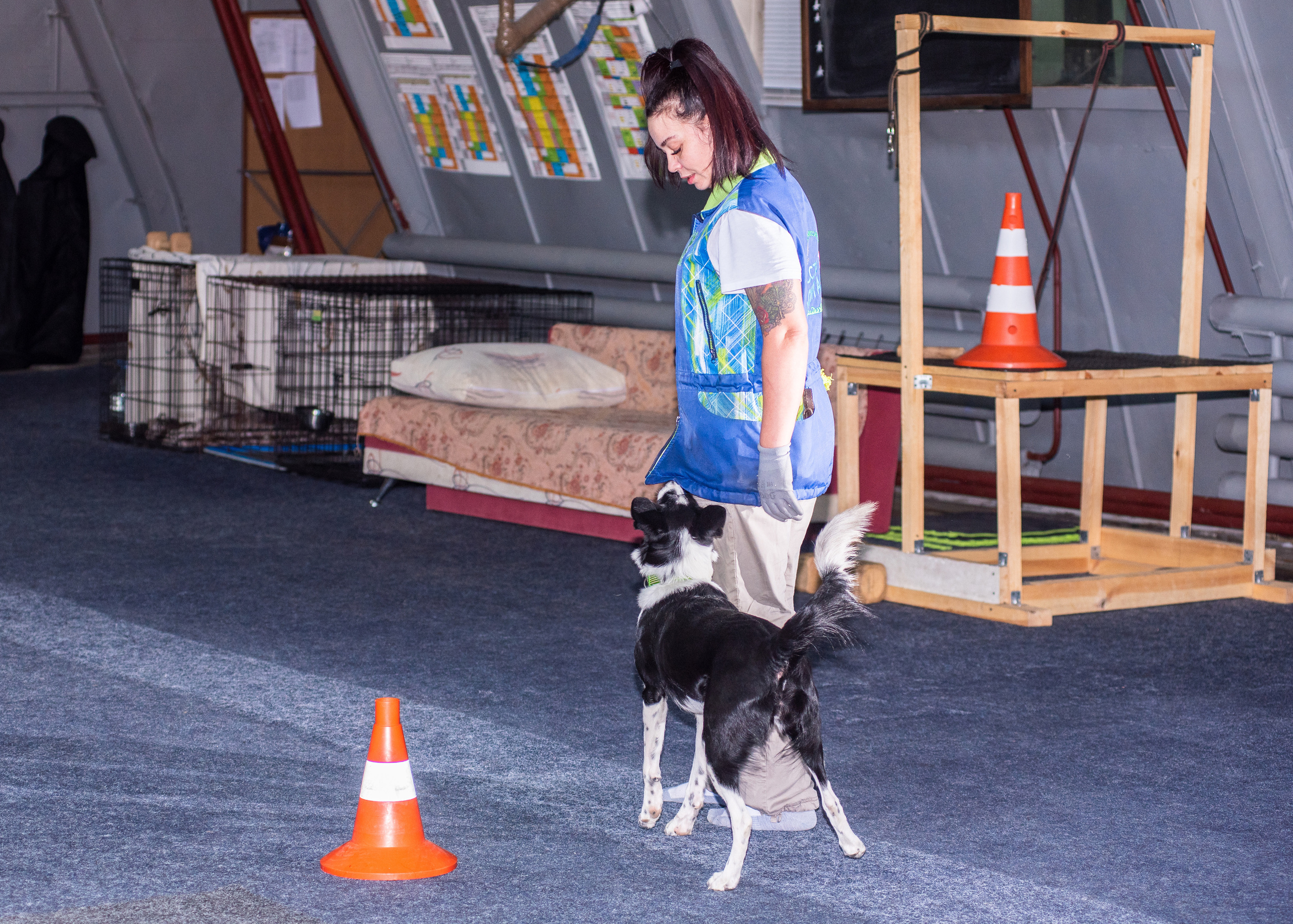 Танцы с собаками!. Дог-фотограф в Тюмени Александра Королева