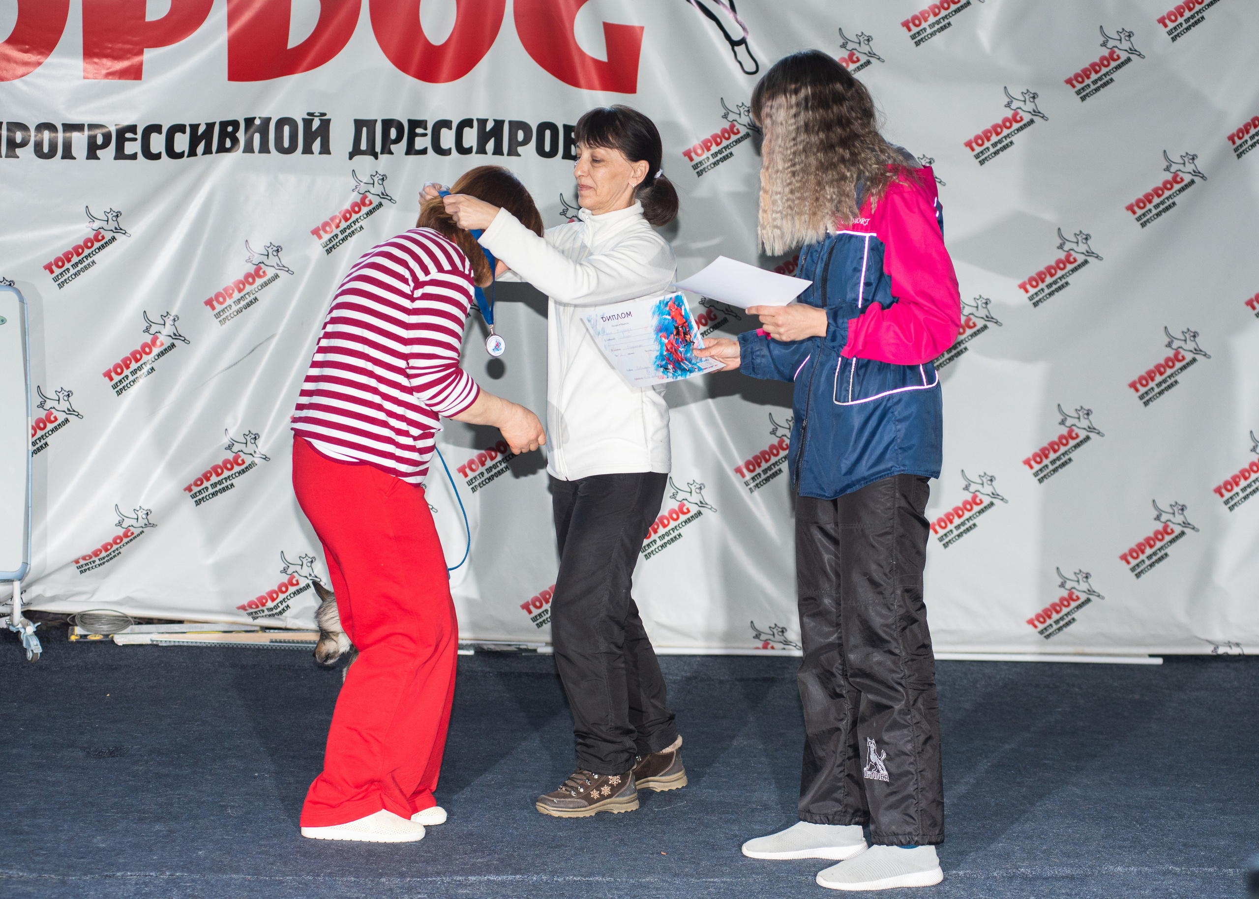 Танцы с собаками!. Дог-фотограф в Тюмени Александра Королева