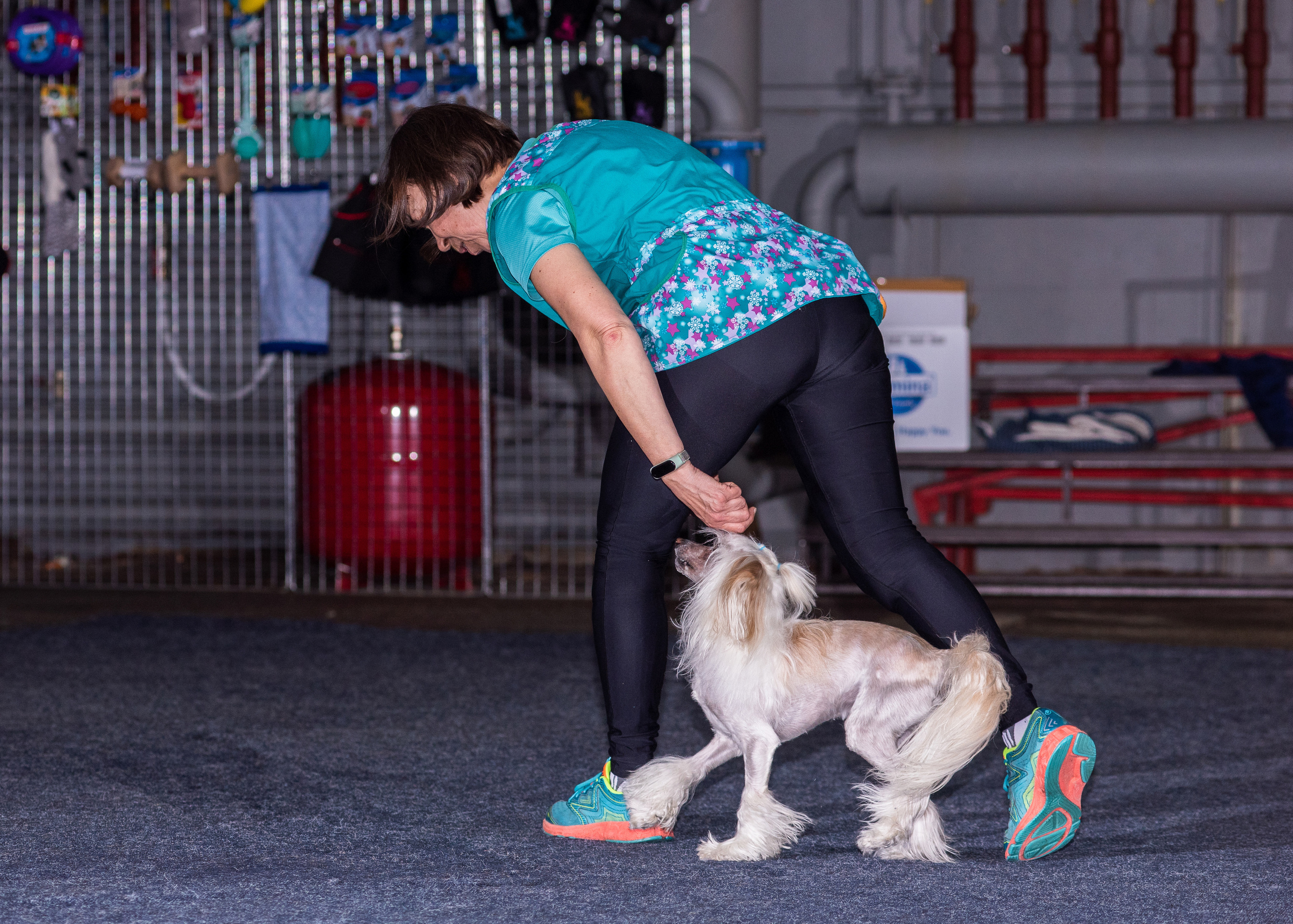 Танцы с собаками!. Дог-фотограф в Тюмени Александра Королева