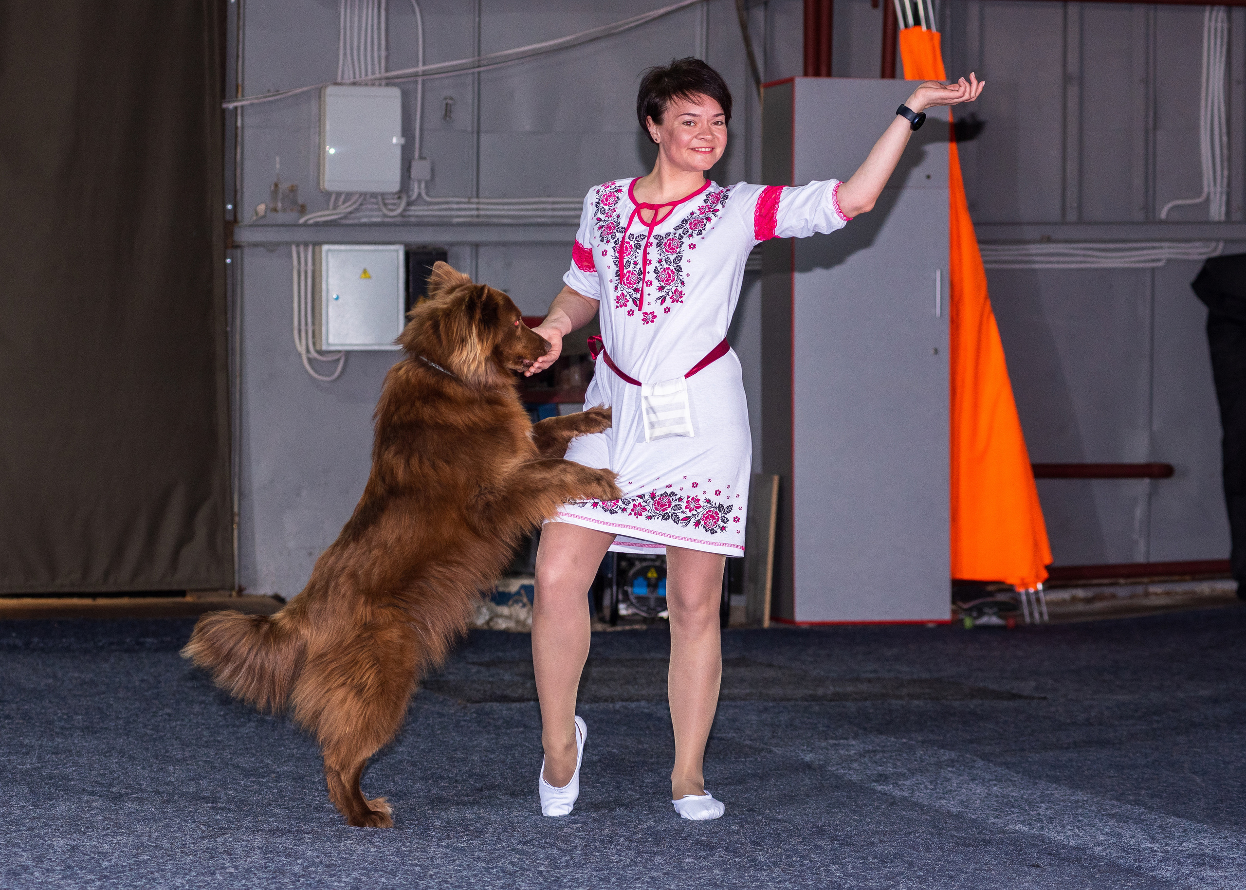 Танцы с собаками!. Дог-фотограф в Тюмени Александра Королева