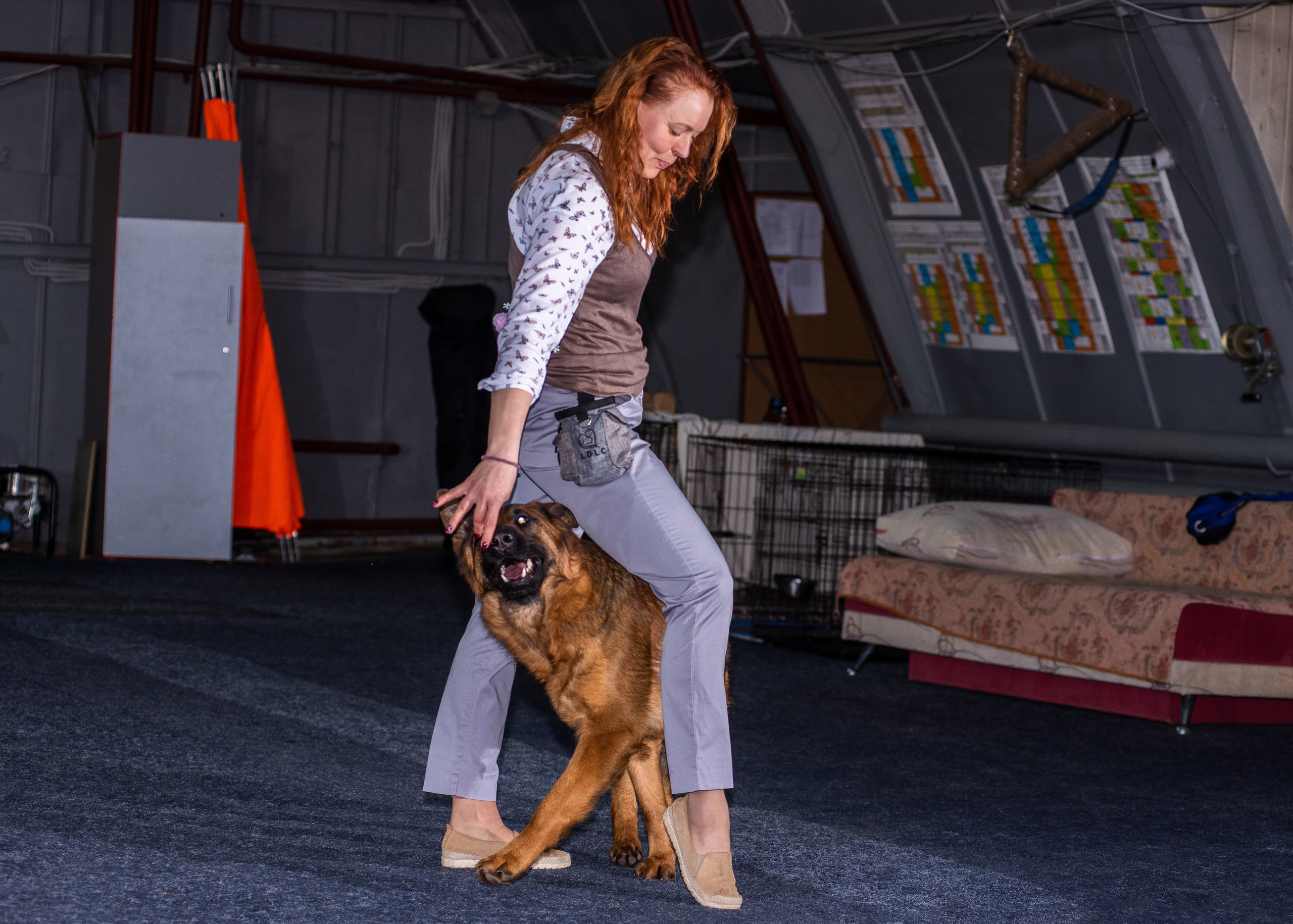 Танцы с собаками!. Дог-фотограф в Тюмени Александра Королева