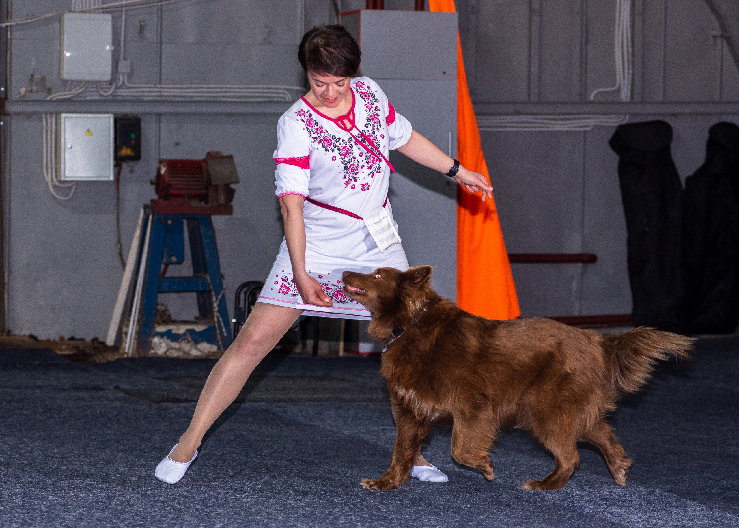 Танцы с собаками!. Дог-фотограф в Тюмени Александра Королева