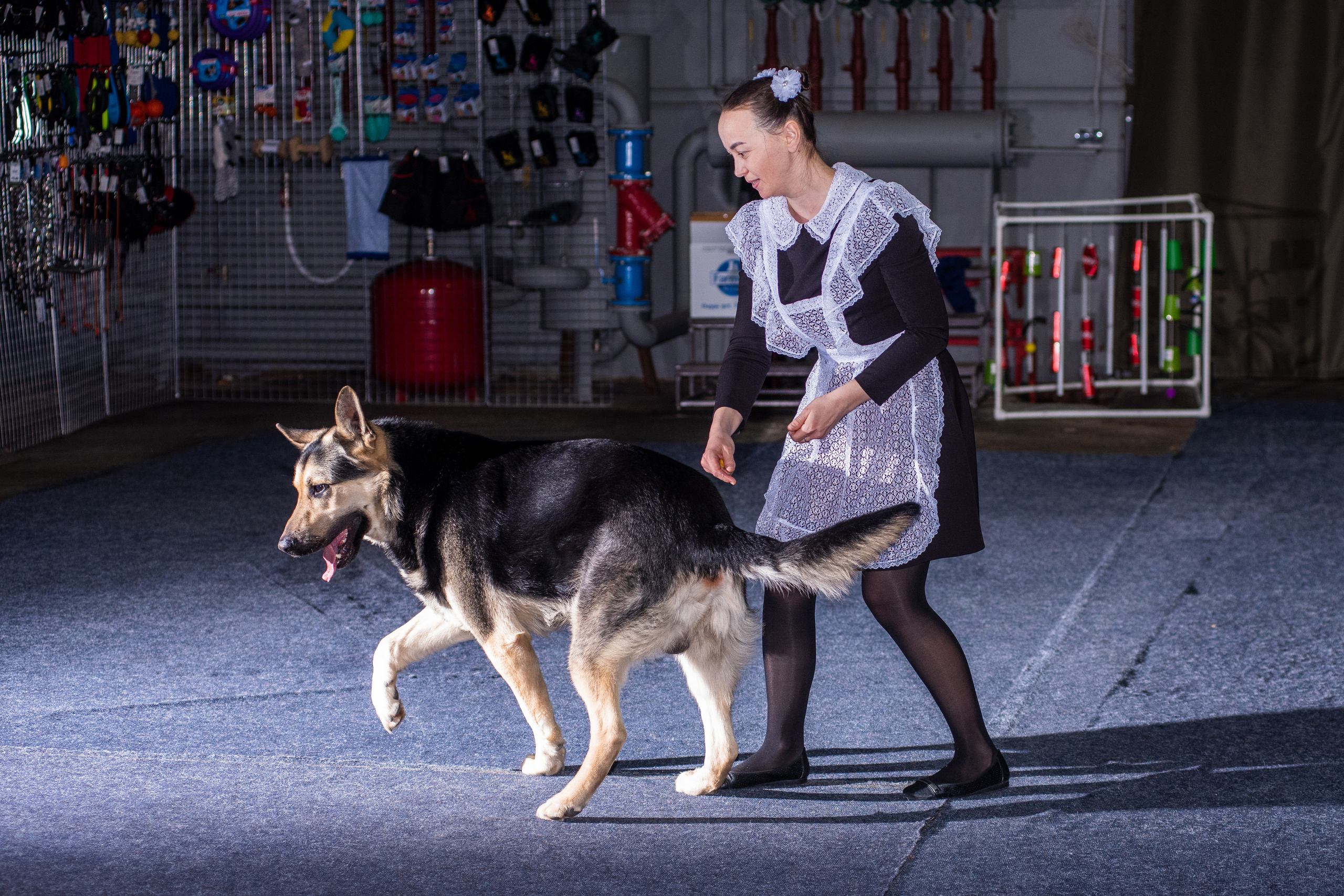 Танцы с собаками!. Дог-фотограф в Тюмени Александра Королева