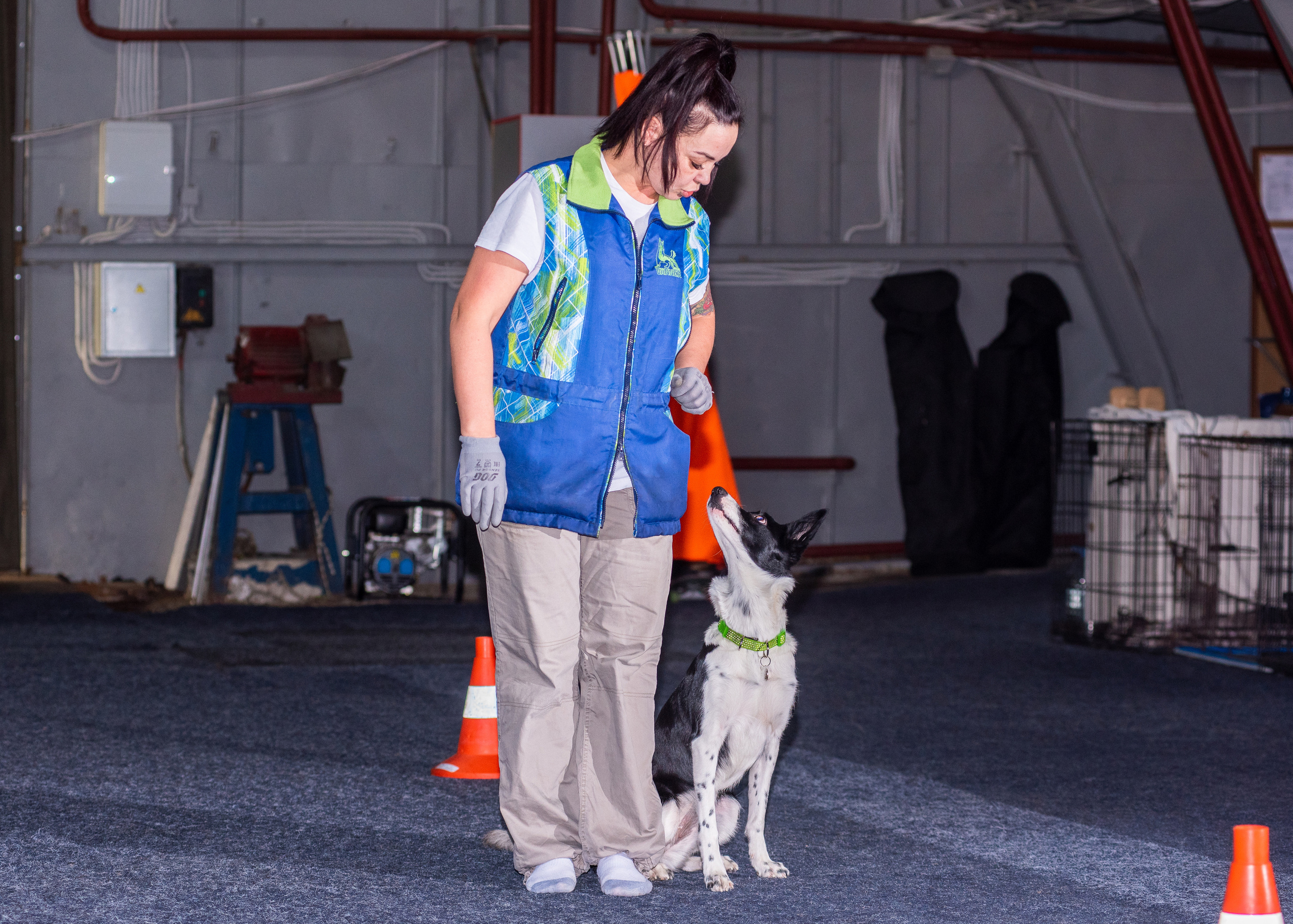 Танцы с собаками!. Дог-фотограф в Тюмени Александра Королева