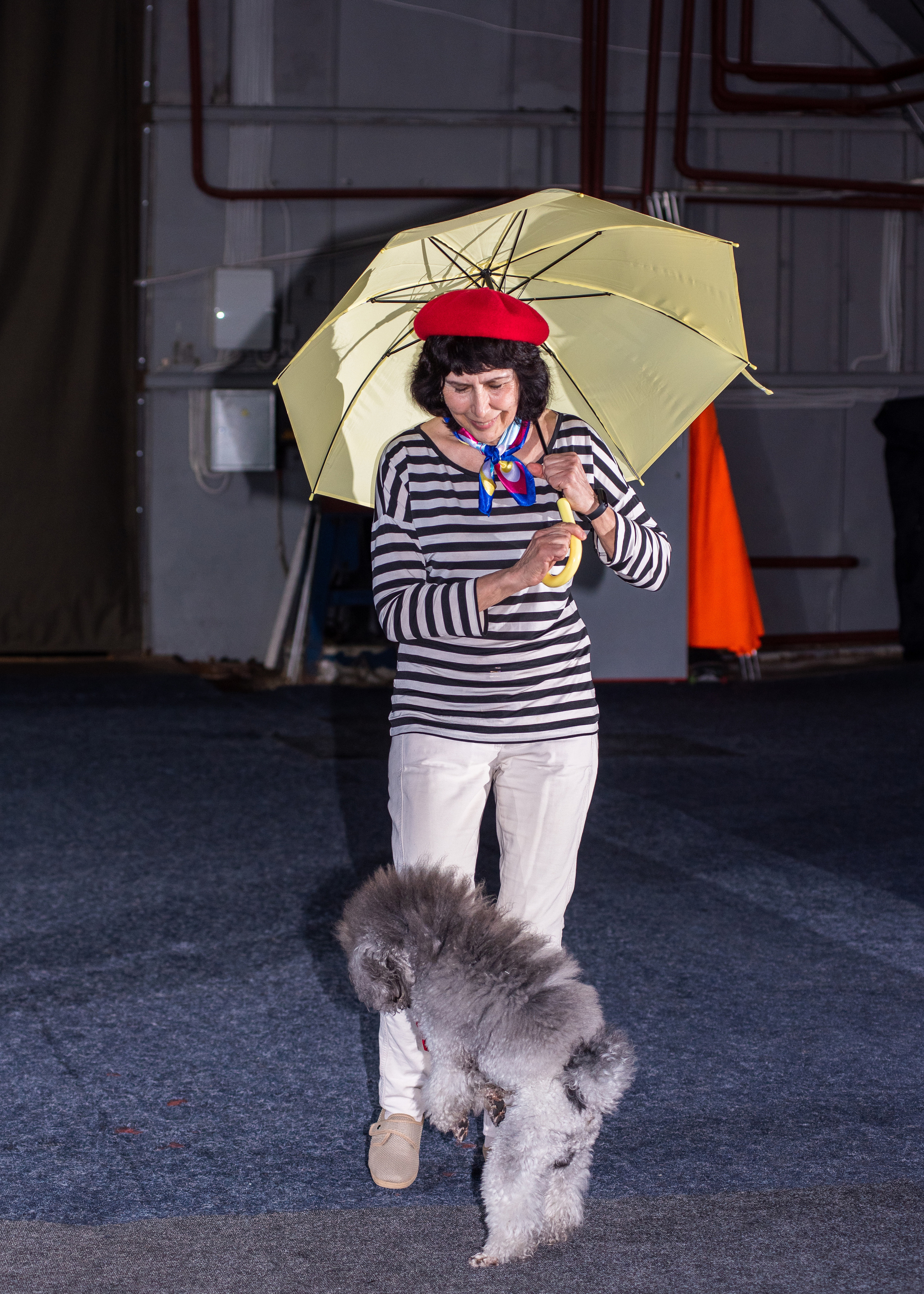 Танцы с собаками!. Дог-фотограф в Тюмени Александра Королева