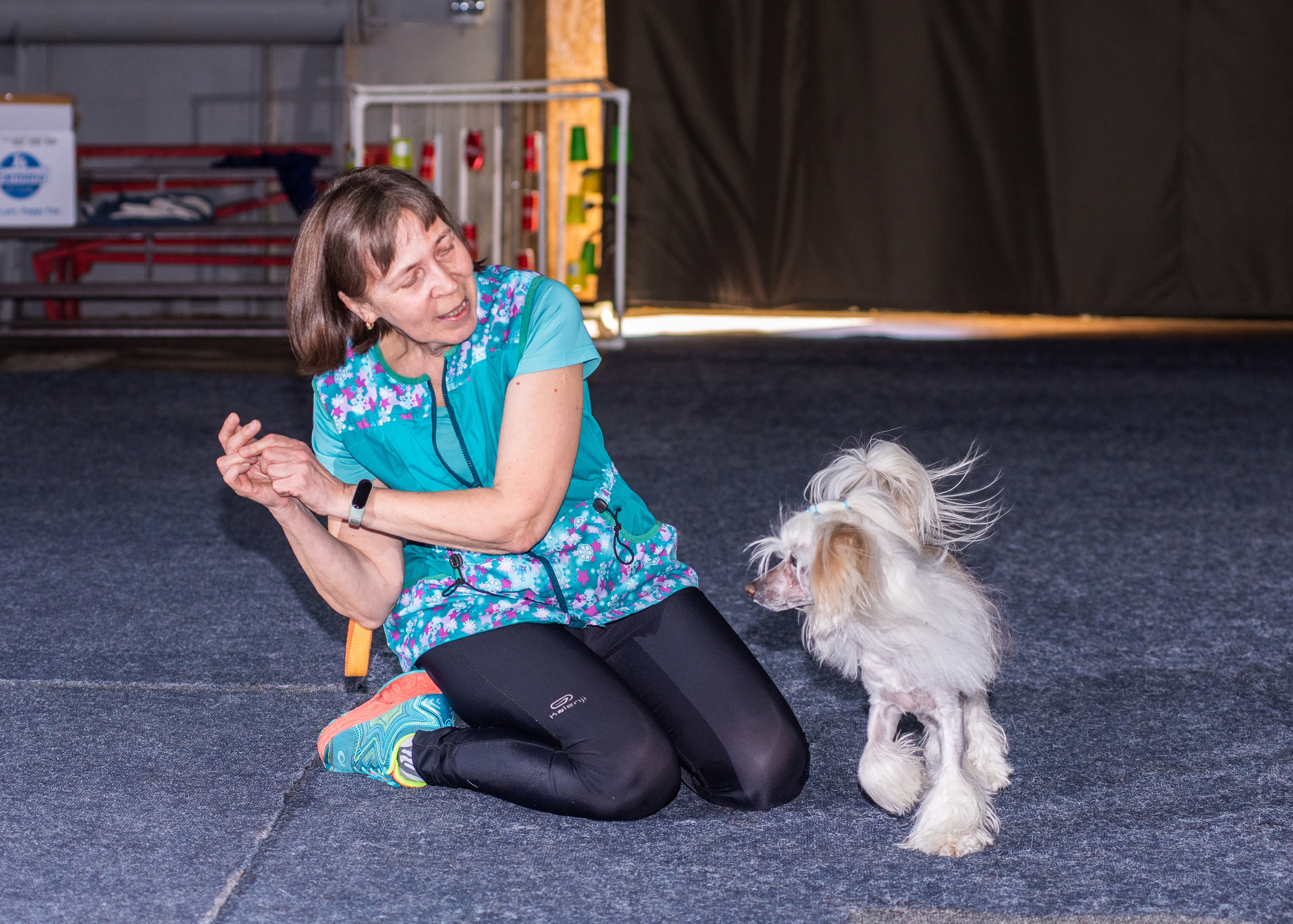 Танцы с собаками!. Дог-фотограф в Тюмени Александра Королева