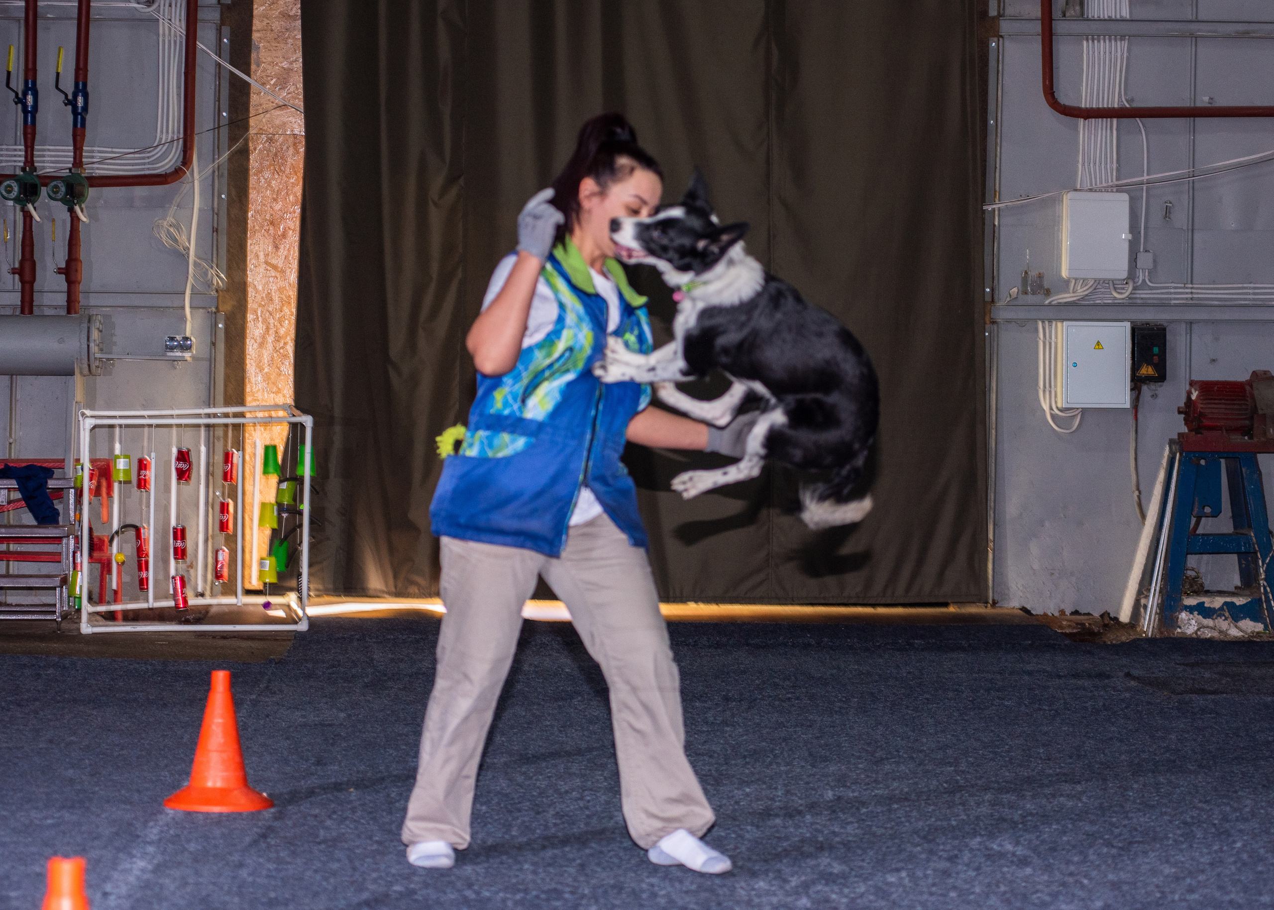 Танцы с собаками!. Дог-фотограф в Тюмени Александра Королева