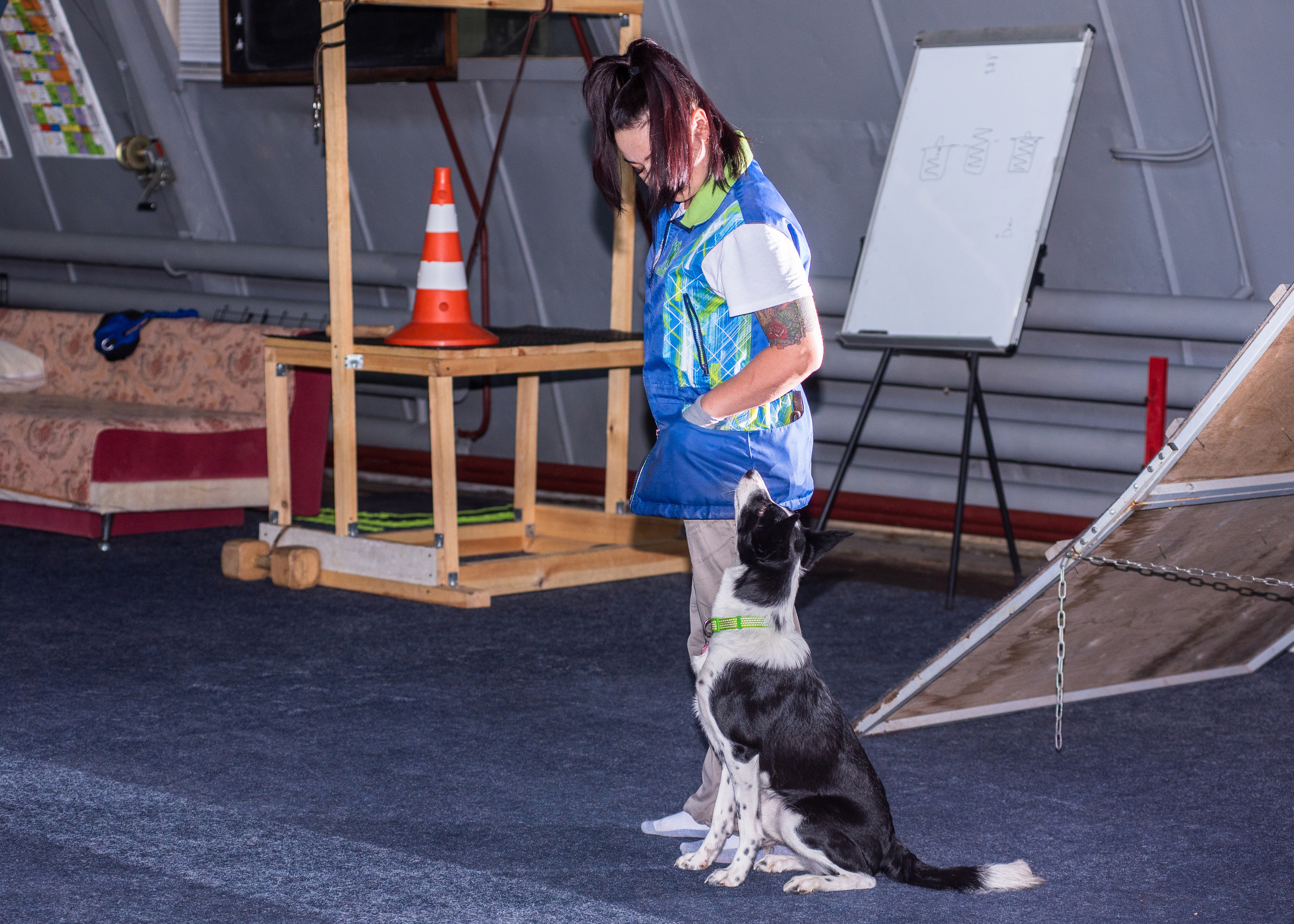 Танцы с собаками!. Дог-фотограф в Тюмени Александра Королева