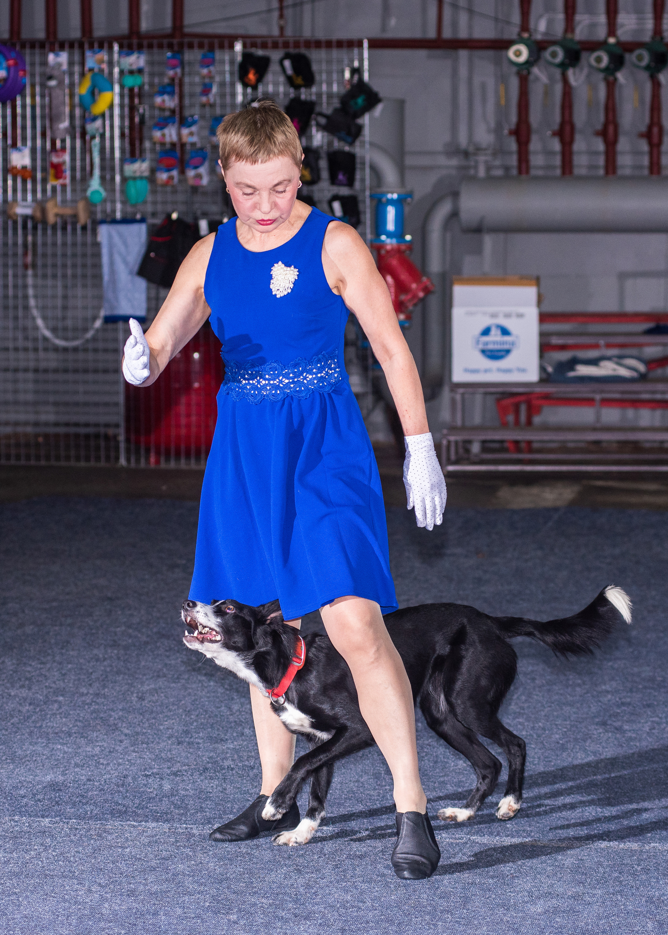 Танцы с собаками!. Дог-фотограф в Тюмени Александра Королева