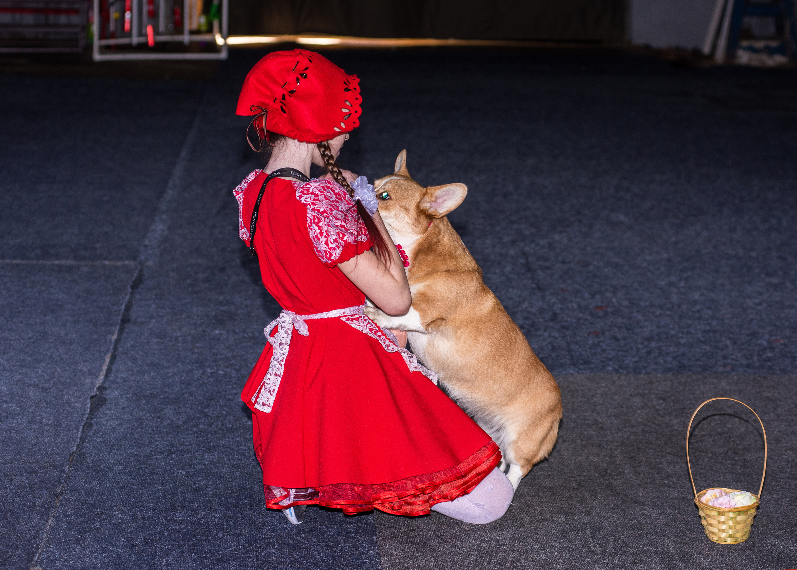 Танцы с собаками!. Дог-фотограф в Тюмени Александра Королева