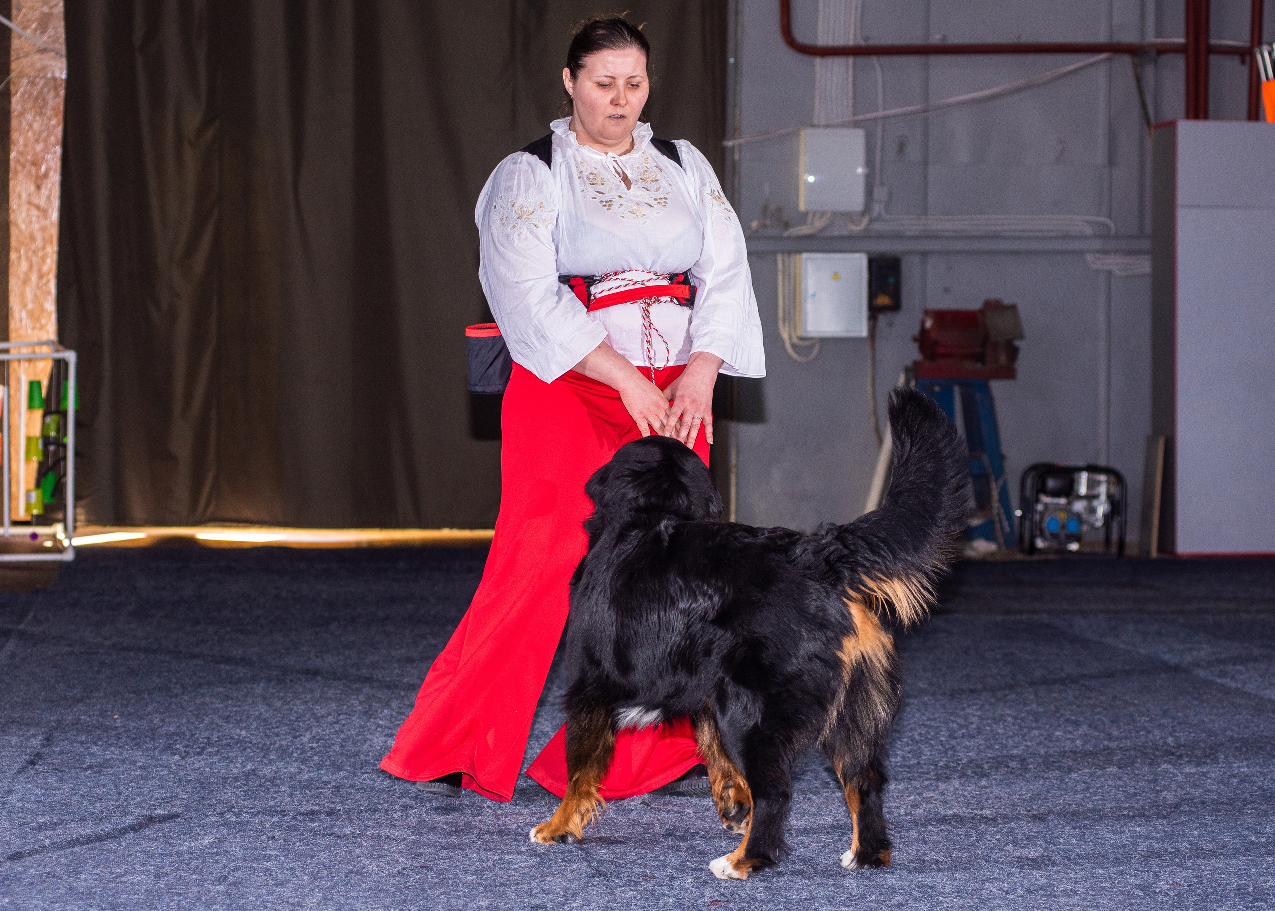 Танцы с собаками!. Дог-фотограф в Тюмени Александра Королева