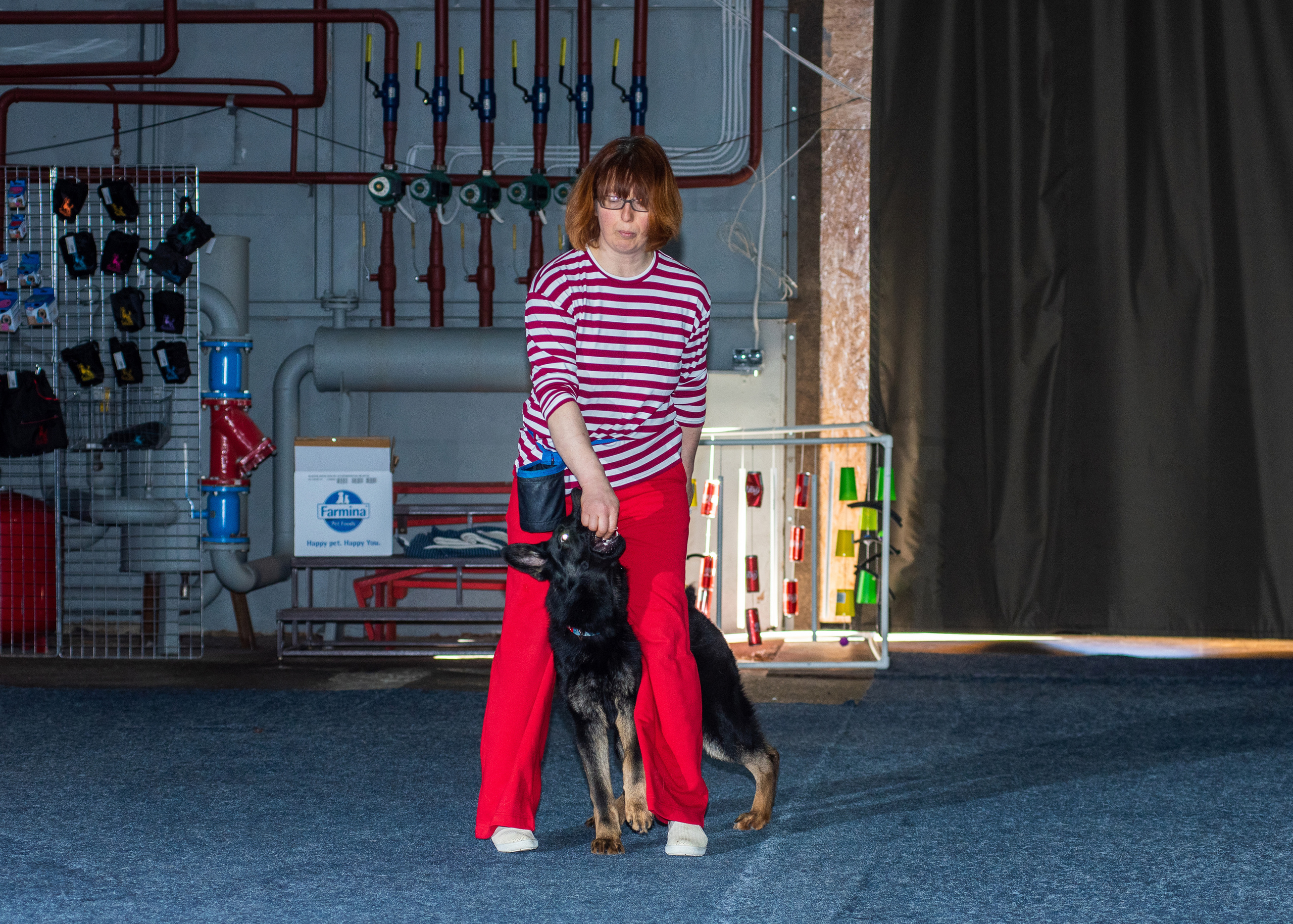 Танцы с собаками!. Дог-фотограф в Тюмени Александра Королева