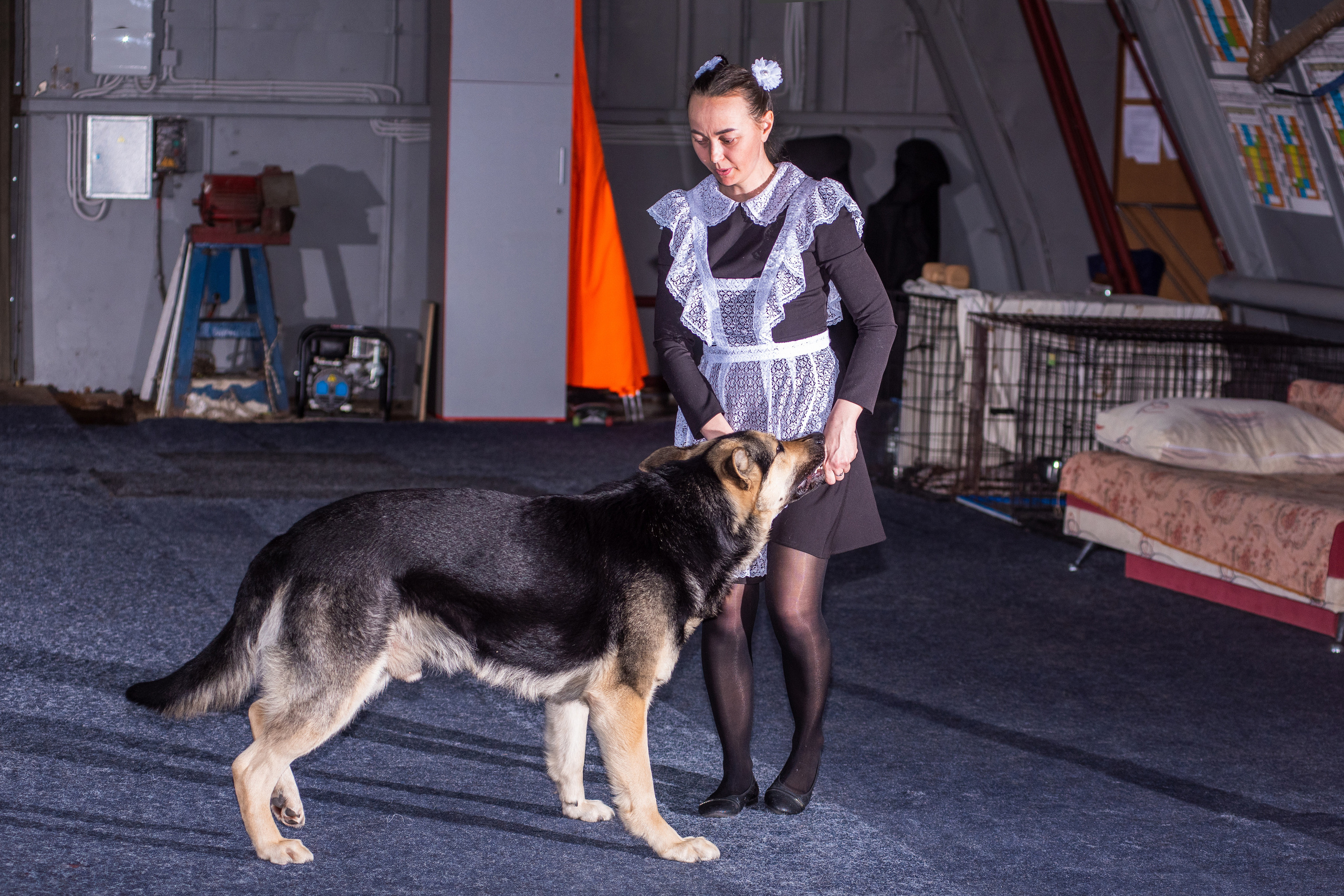 Танцы с собаками!. Дог-фотограф в Тюмени Александра Королева